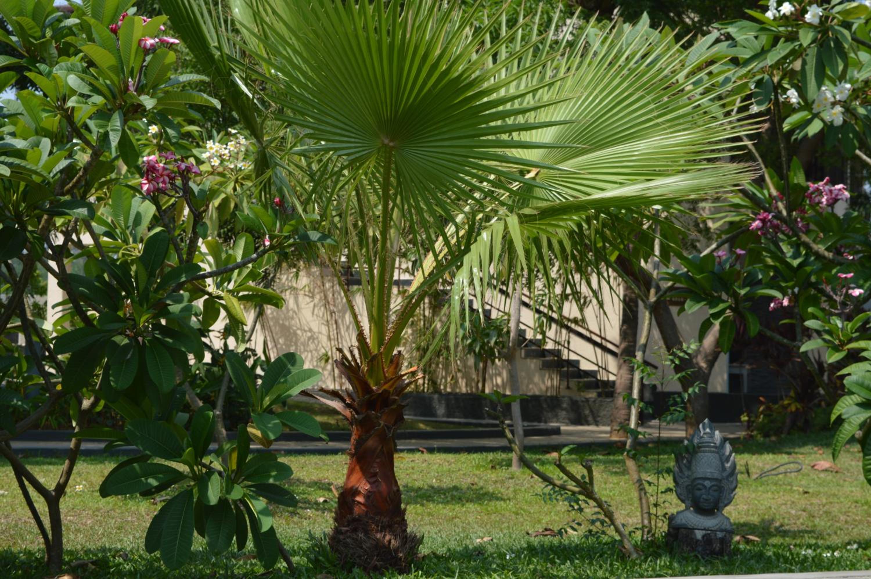 Welcomhotel by ITC Hotels, Kences Palm Beach, Mamallapuram