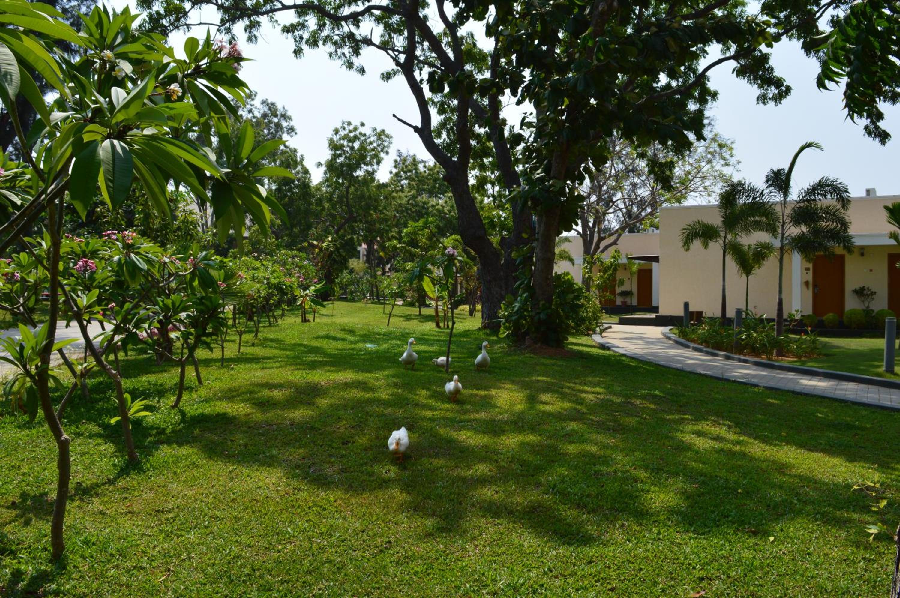 Welcomhotel by ITC Hotels, Kences Palm Beach, Mamallapuram