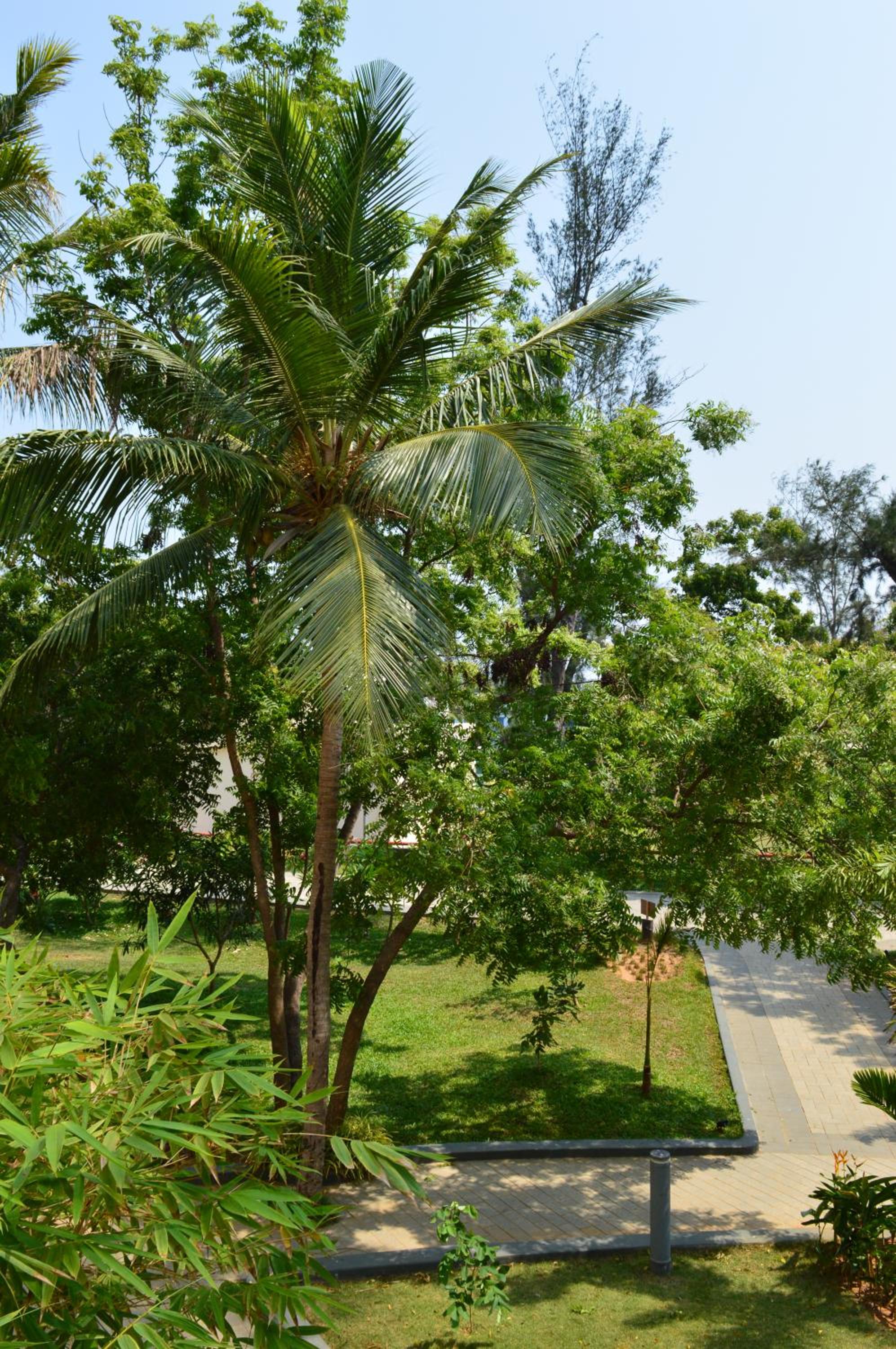 Welcomhotel by ITC Hotels, Kences Palm Beach, Mamallapuram