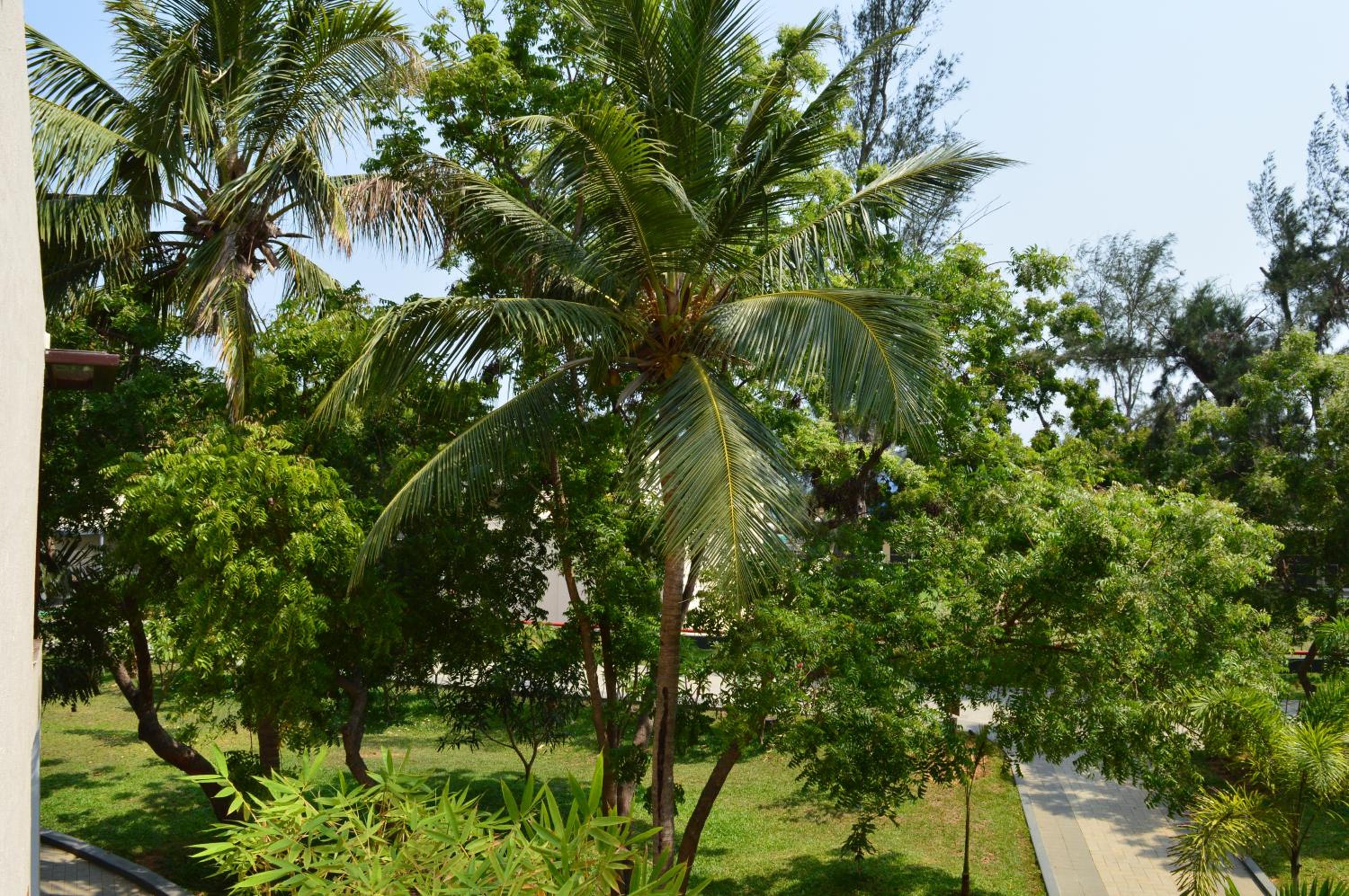 Welcomhotel by ITC Hotels, Kences Palm Beach, Mamallapuram