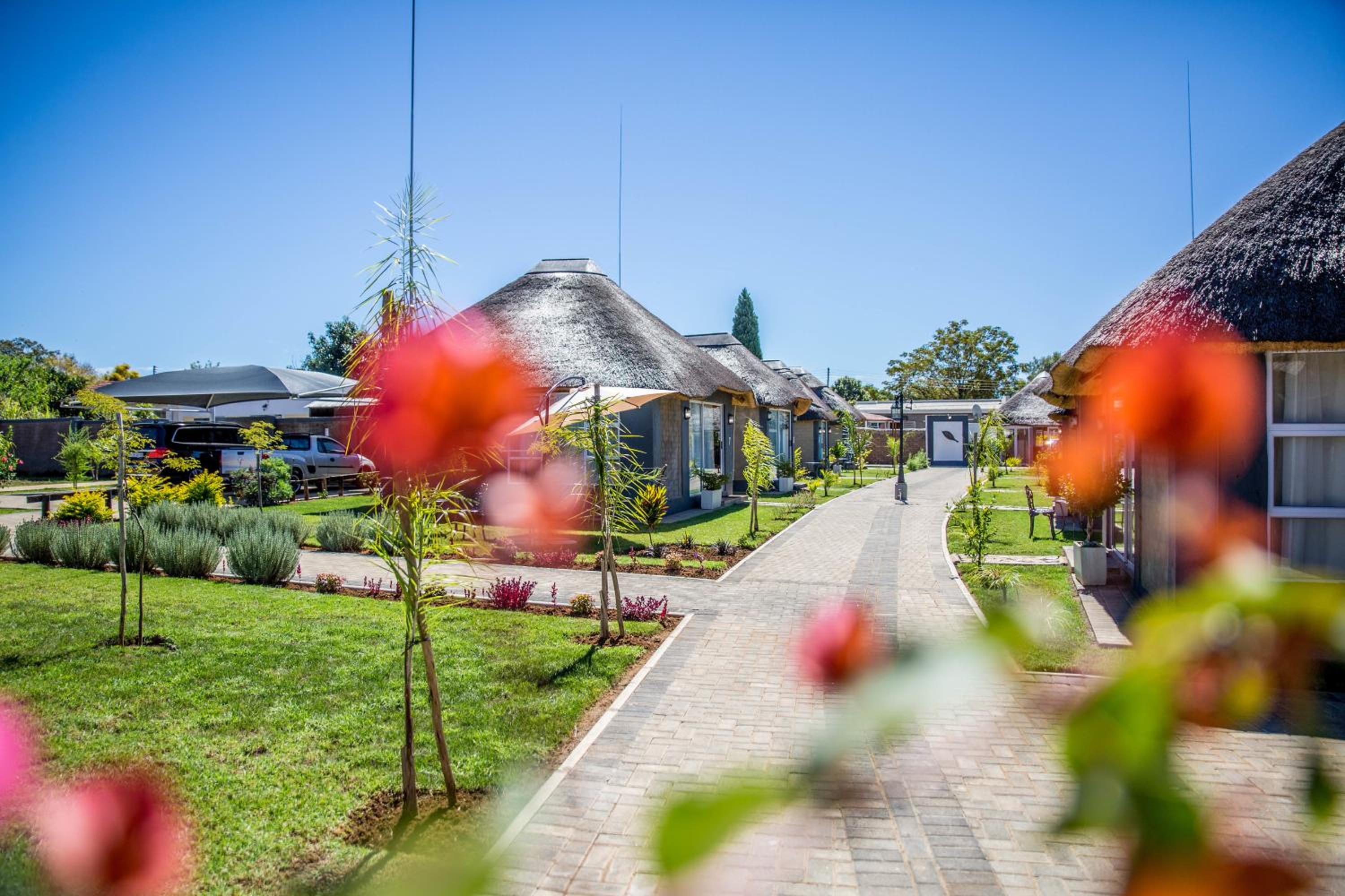 TshiBerry Bed & Breakfast