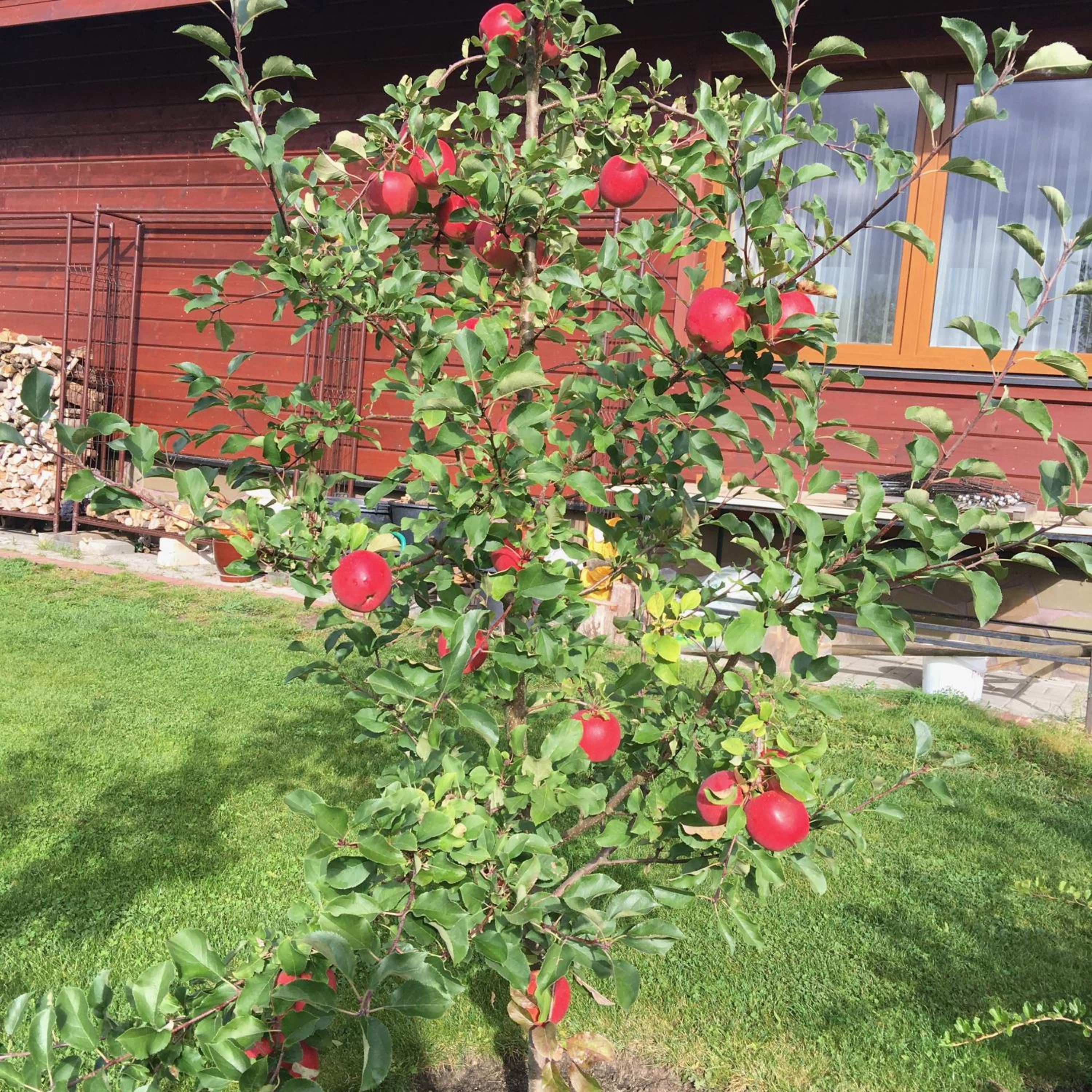 Photo 14