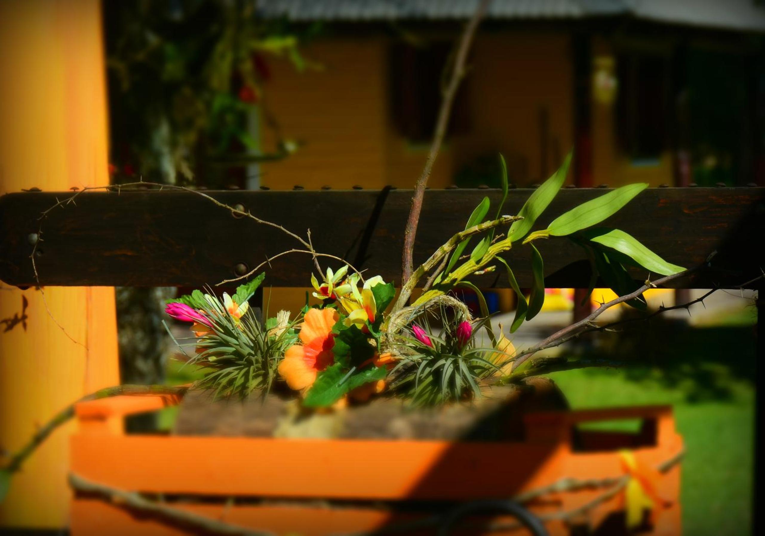 Cabañas La Soñada