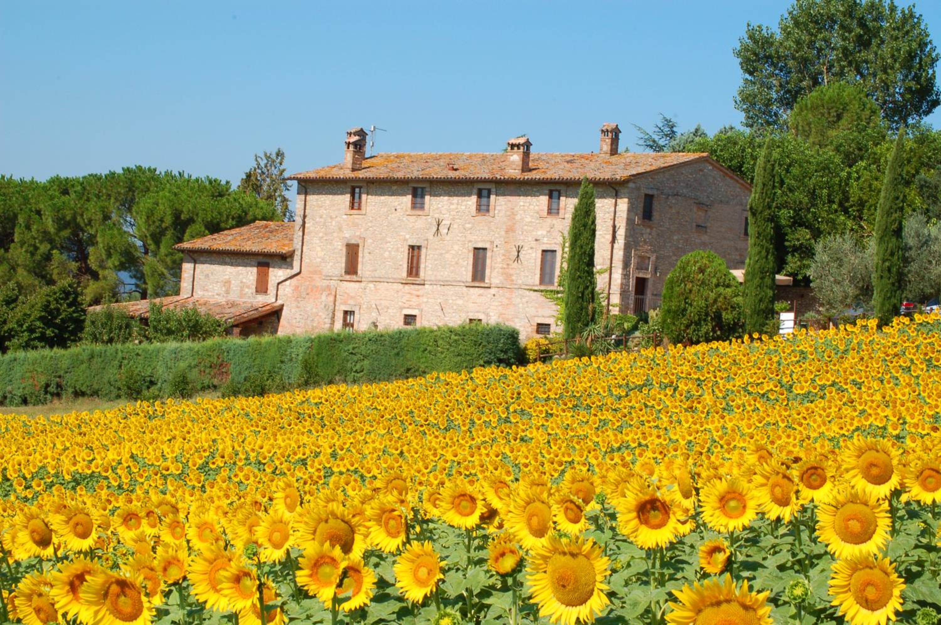 Agriturismo Casale Dei Frontini