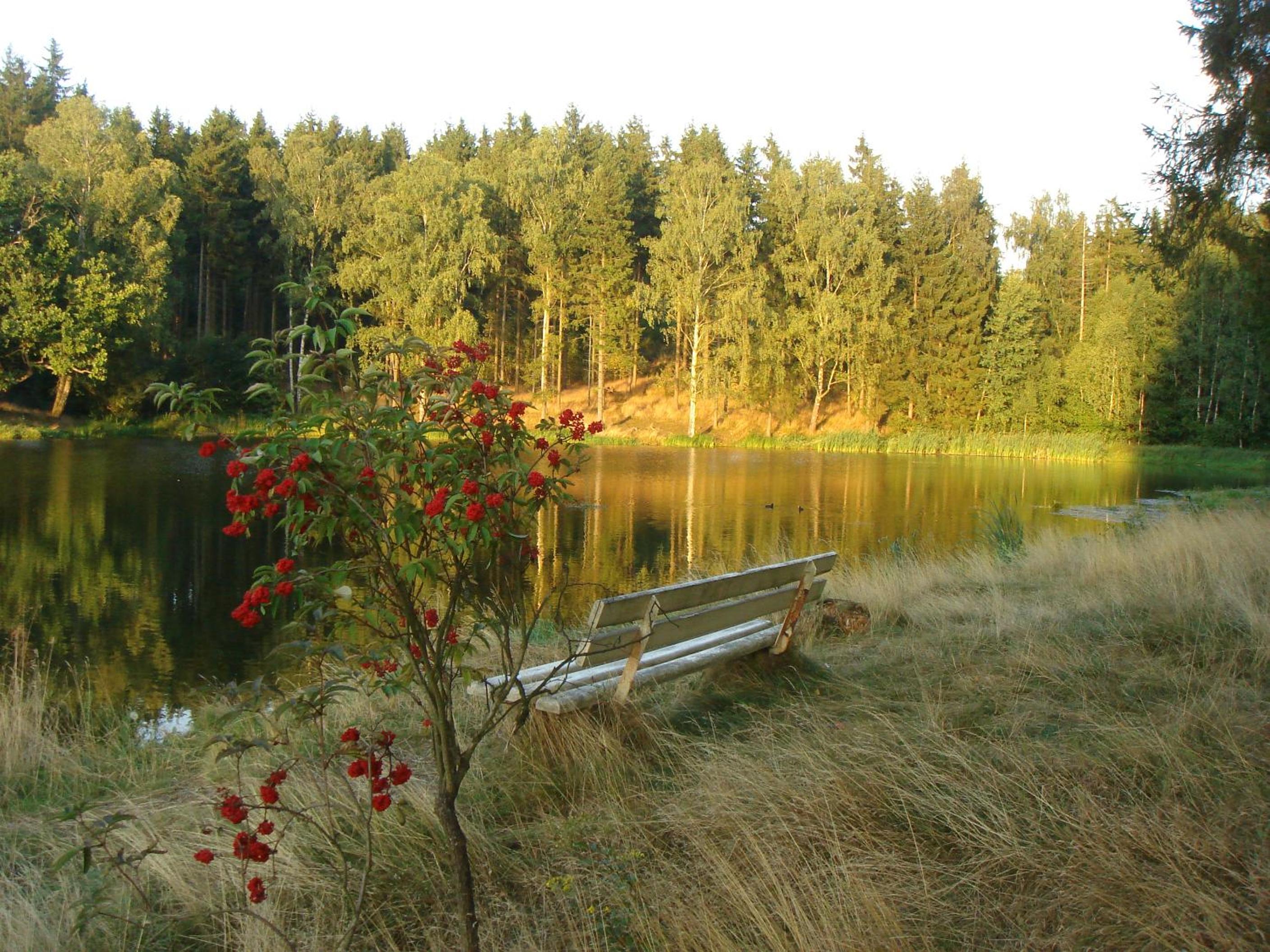 Chalet Harmonie