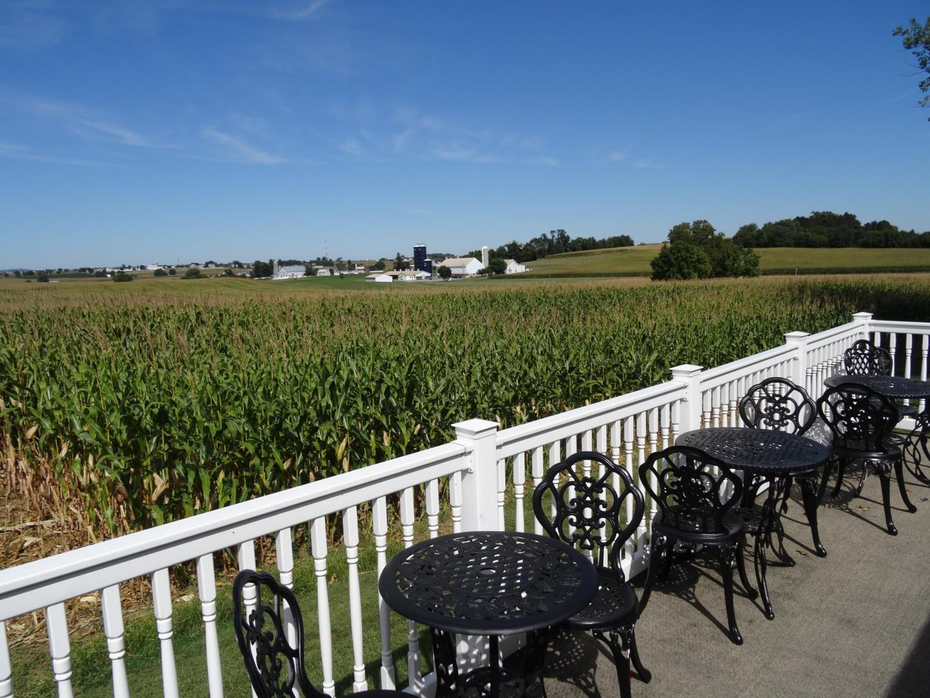 Amish Country Motel view 5