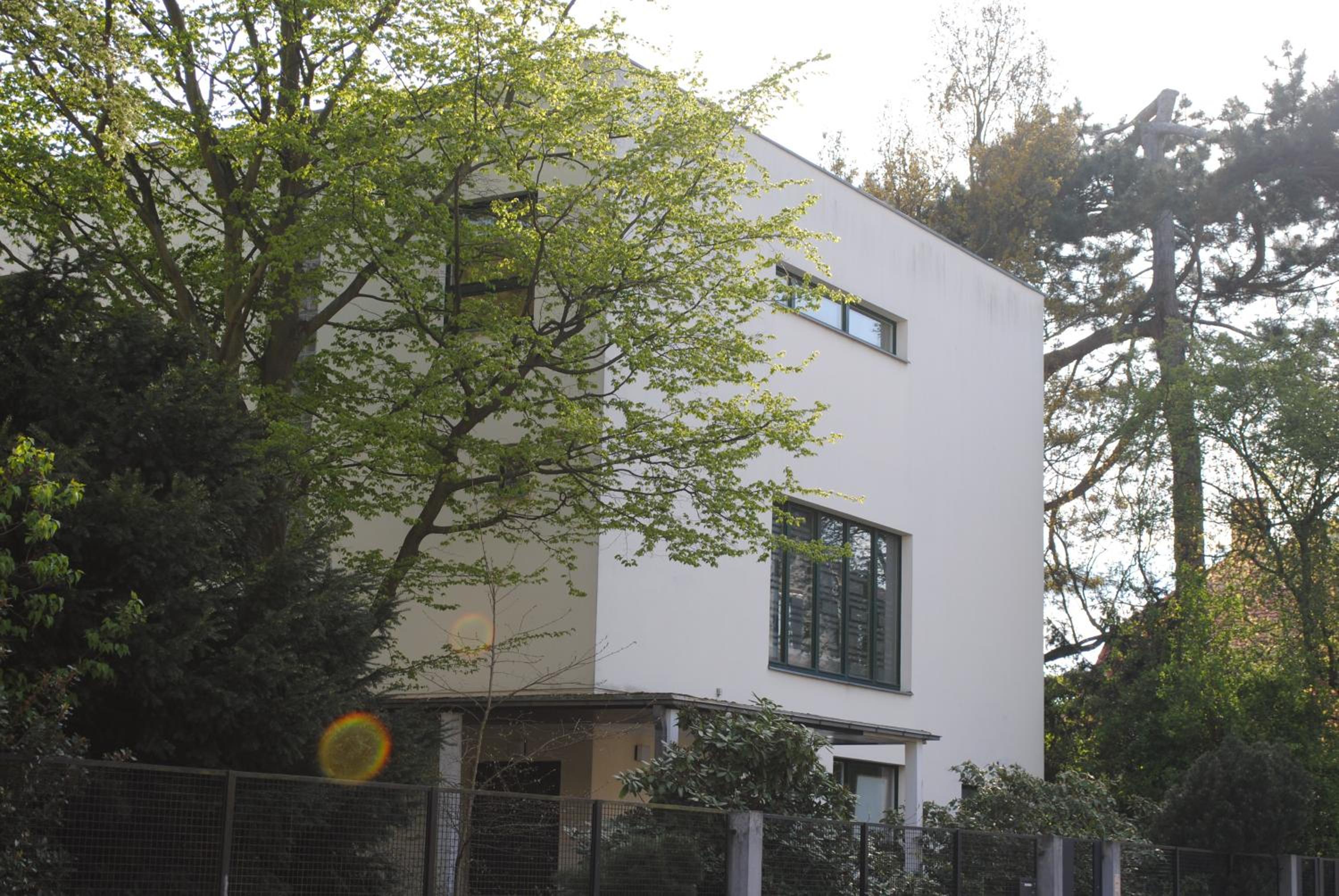 Photo 8