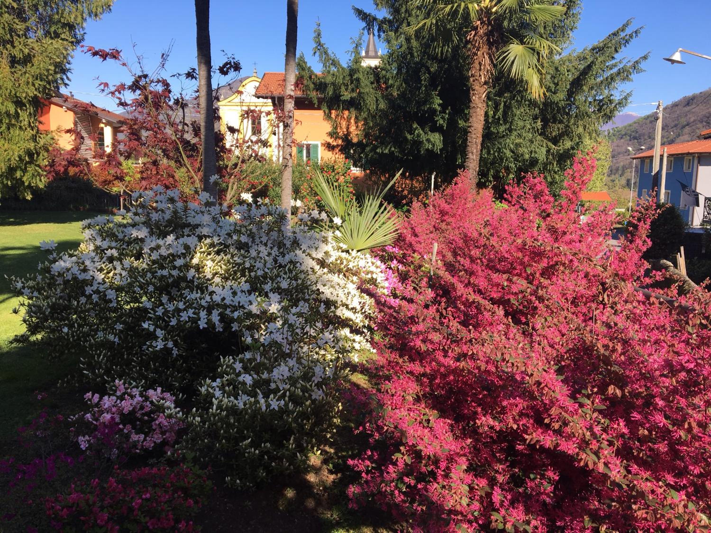 B&B Villa Dei Pini