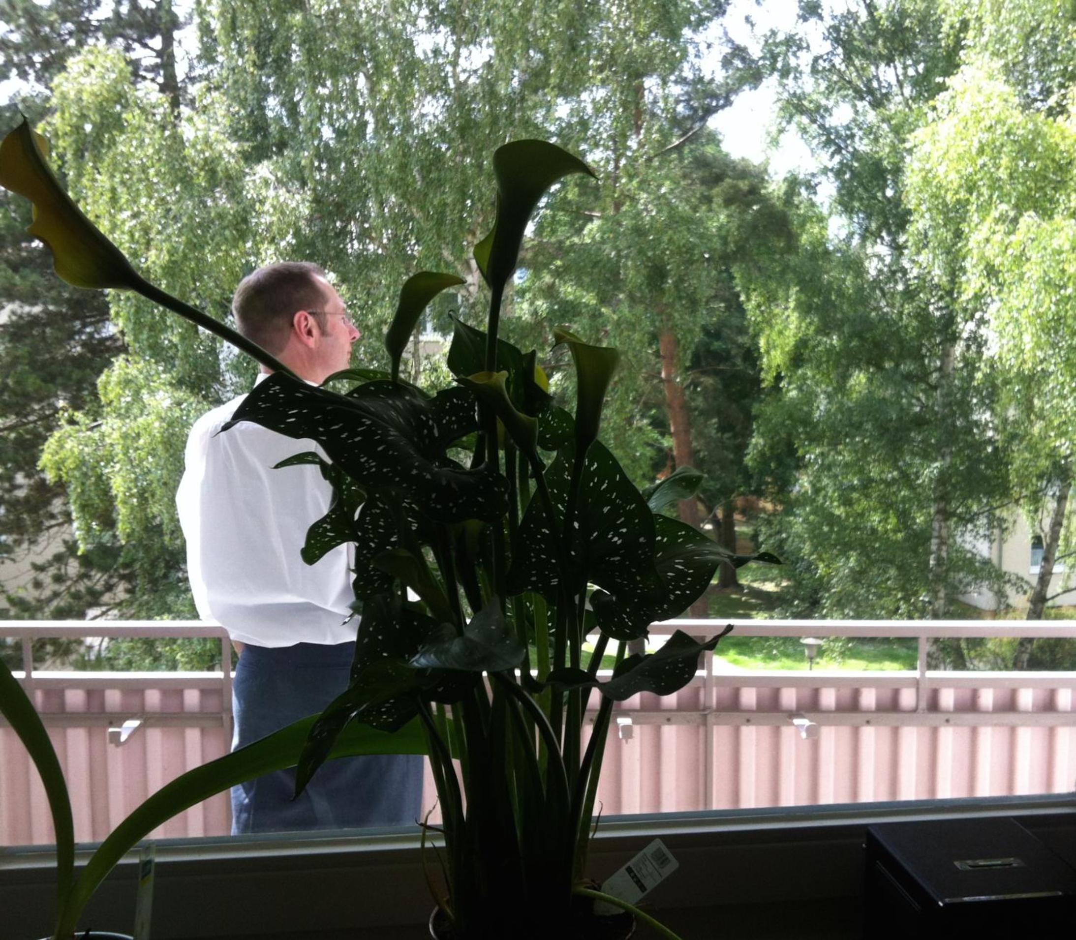 ask rooms Privatzimmer in Kassel view 5