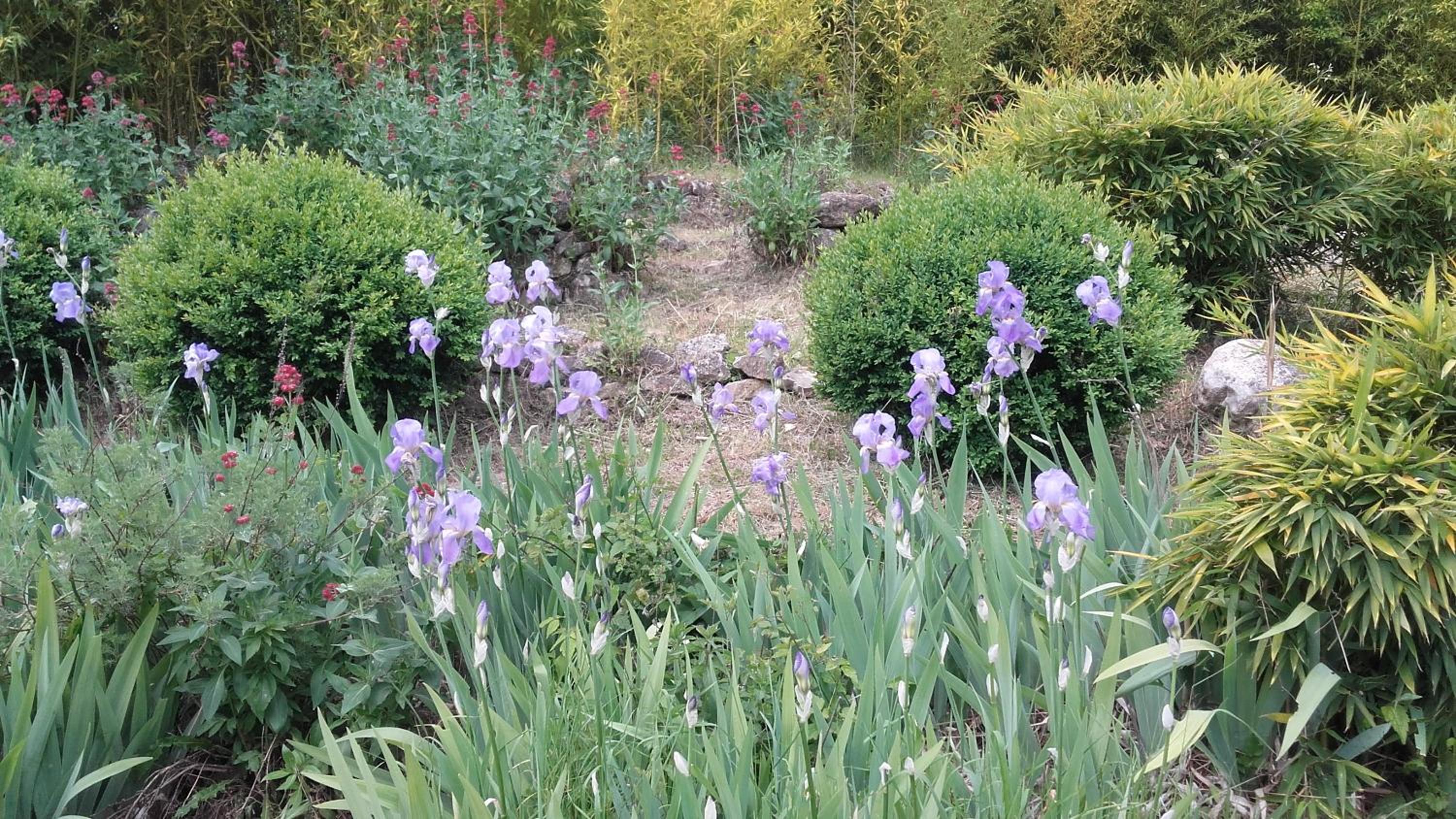 Photo 16