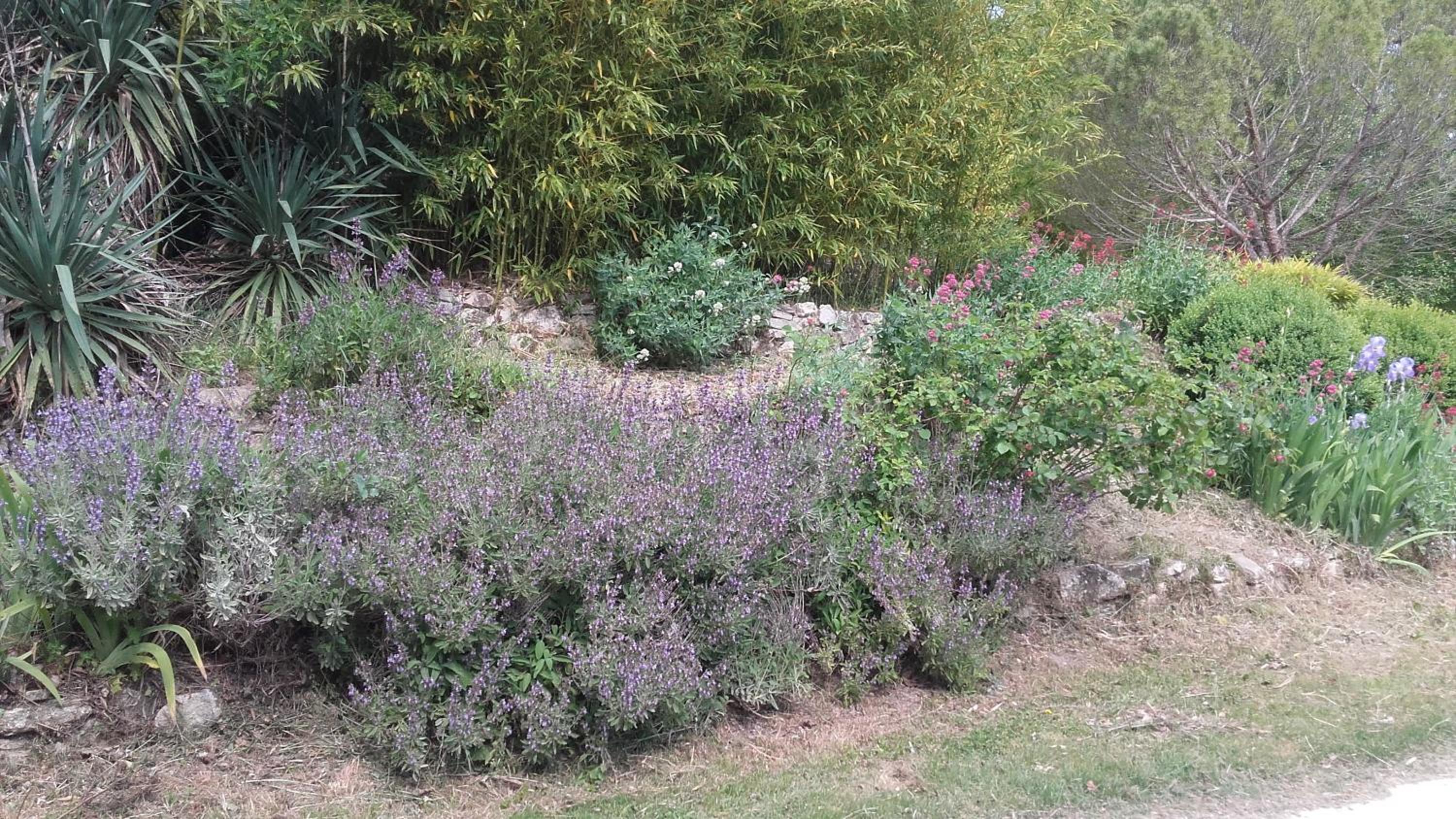 maison près de l'eau, photo 11