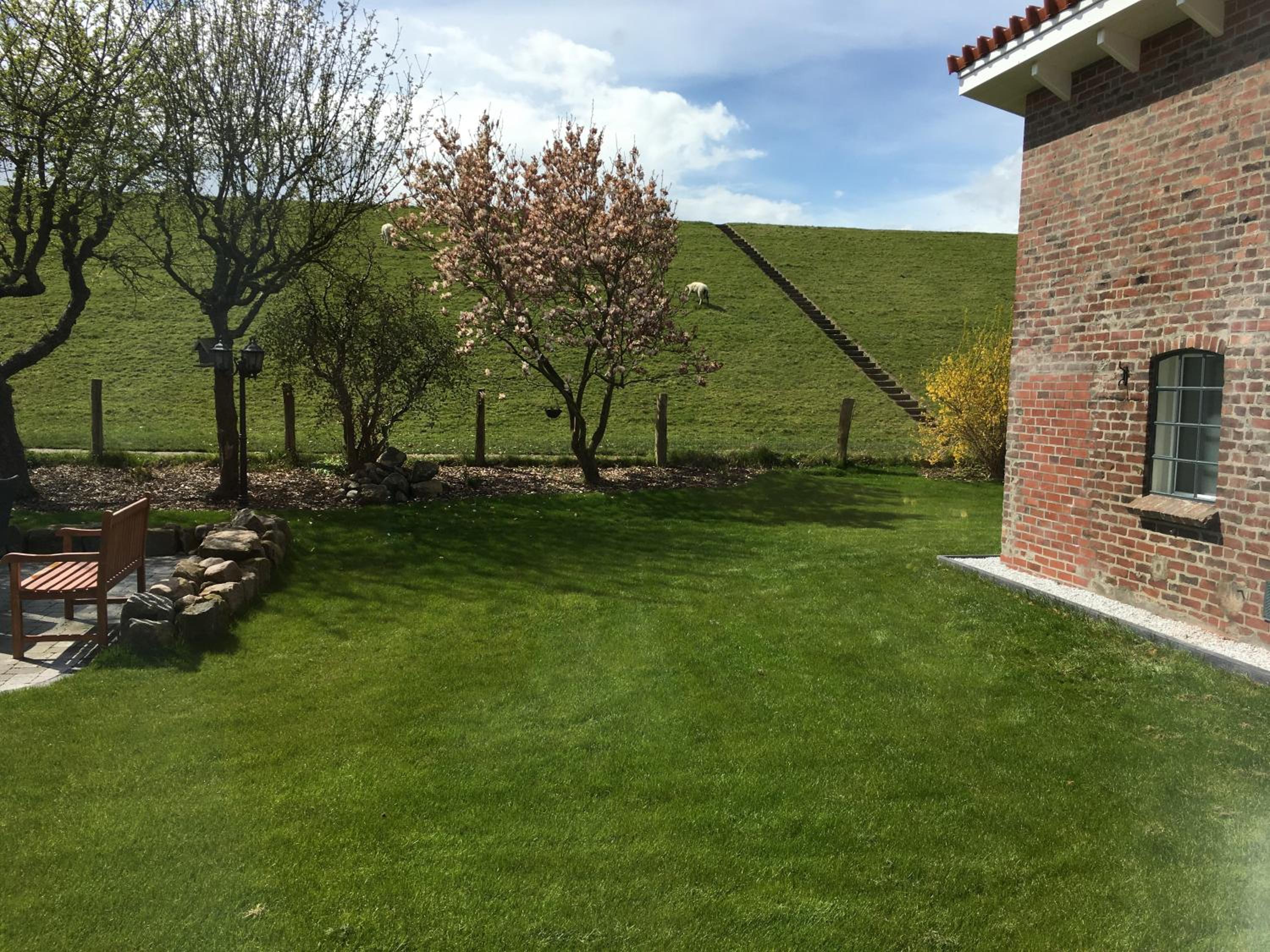 Photo 49