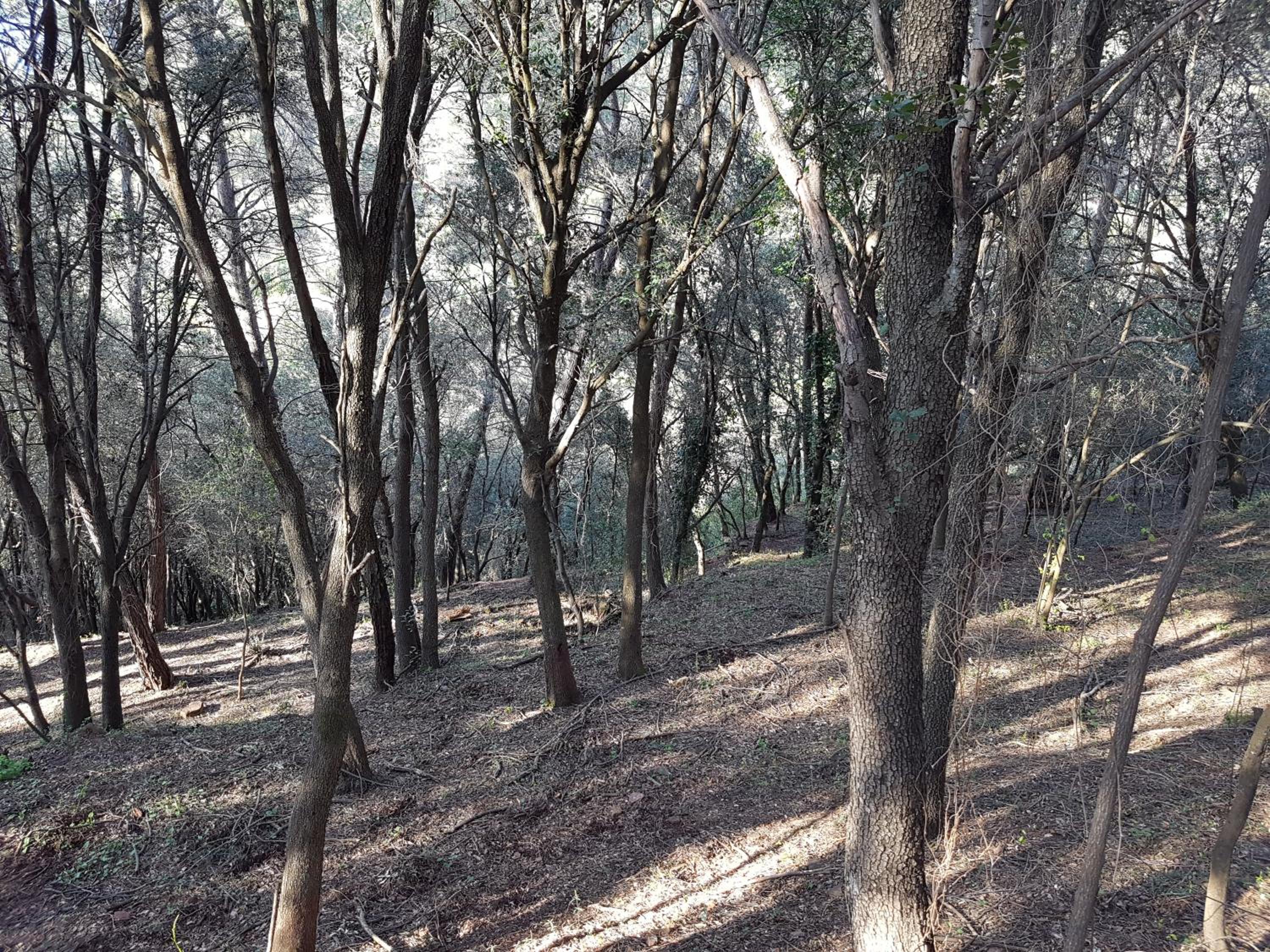 Photo 48