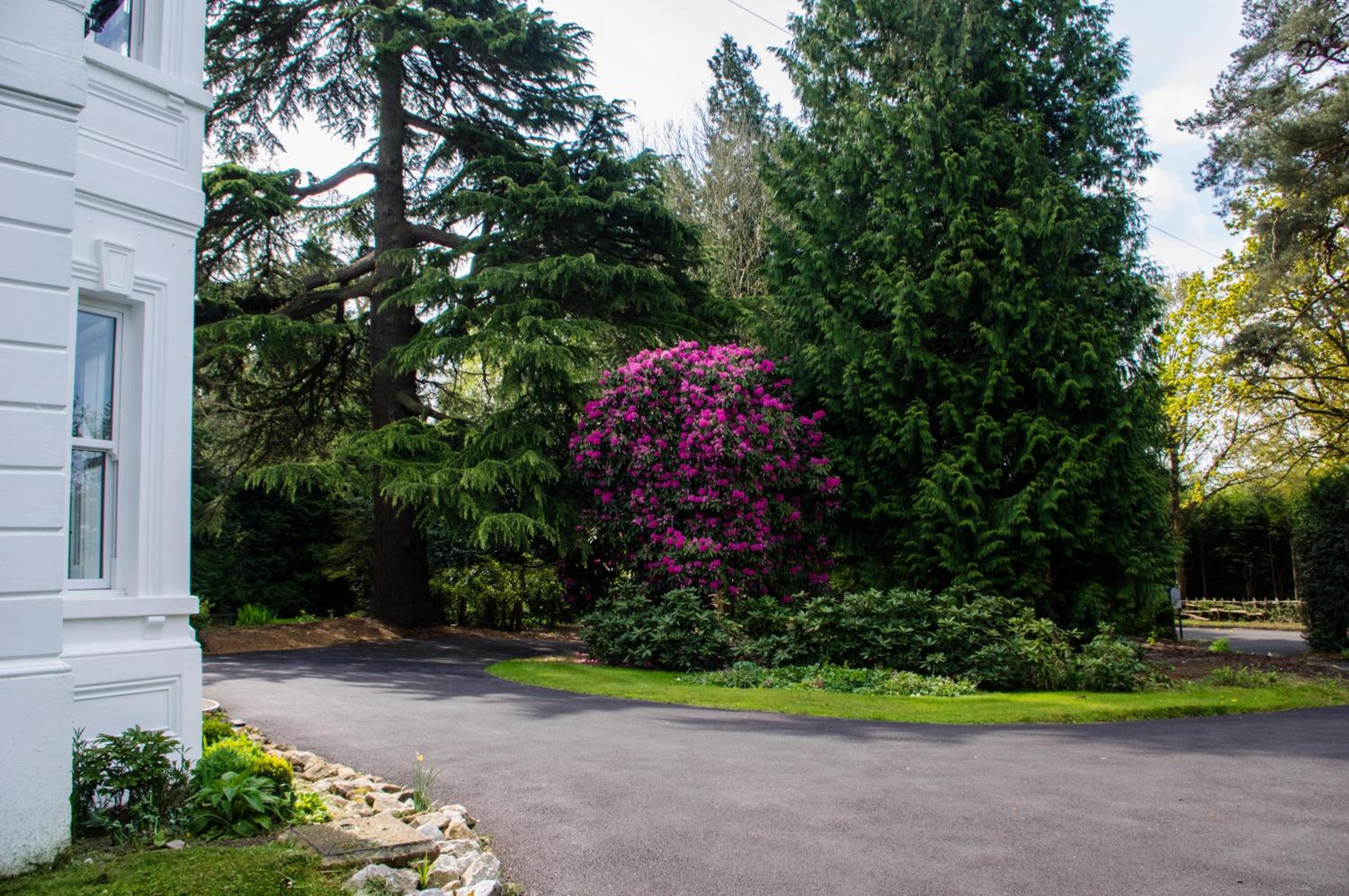 Claridge House Retreat Centre Including Vegetarian Or Vegan Breakfast