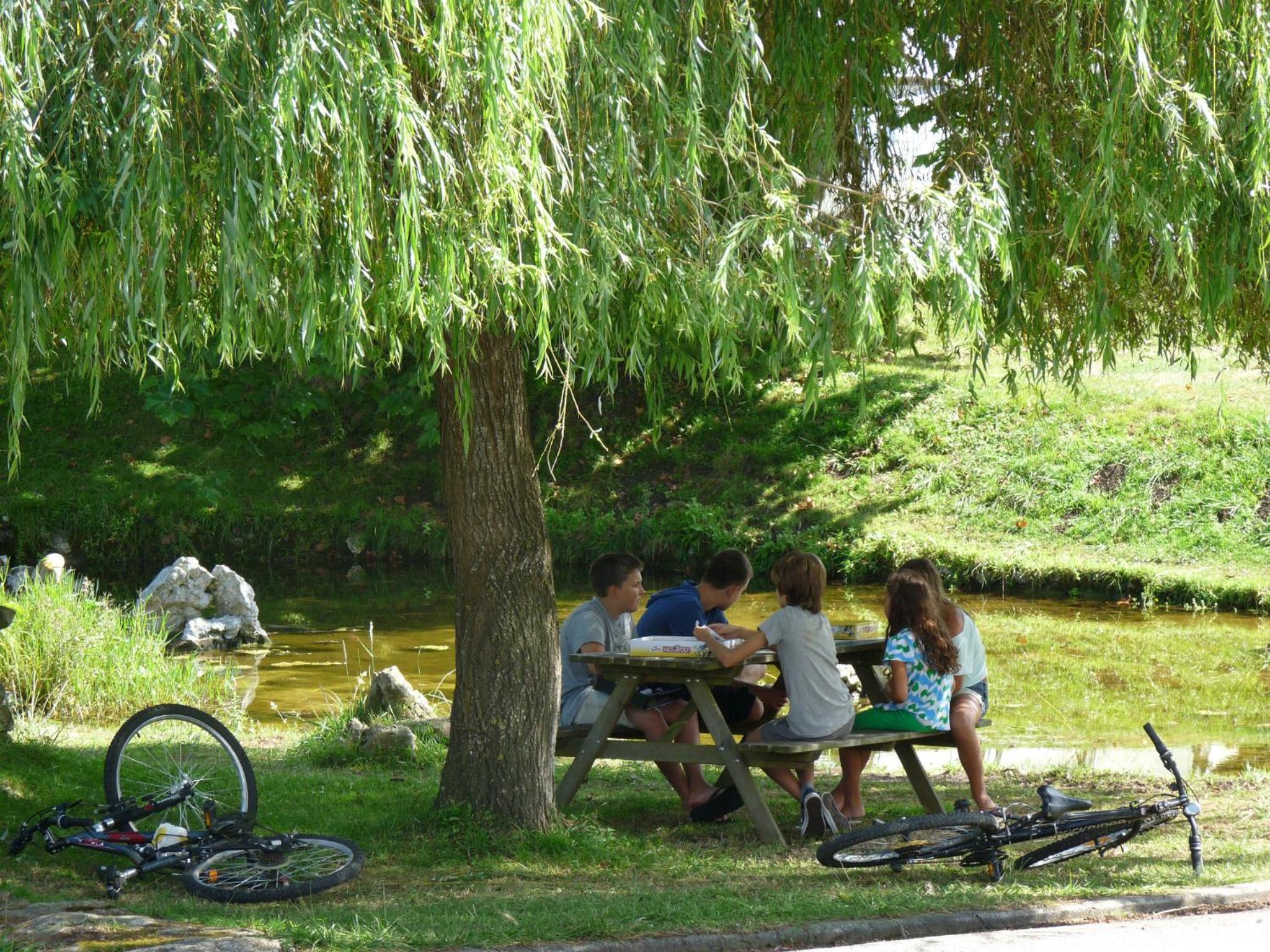 Camping Colombres