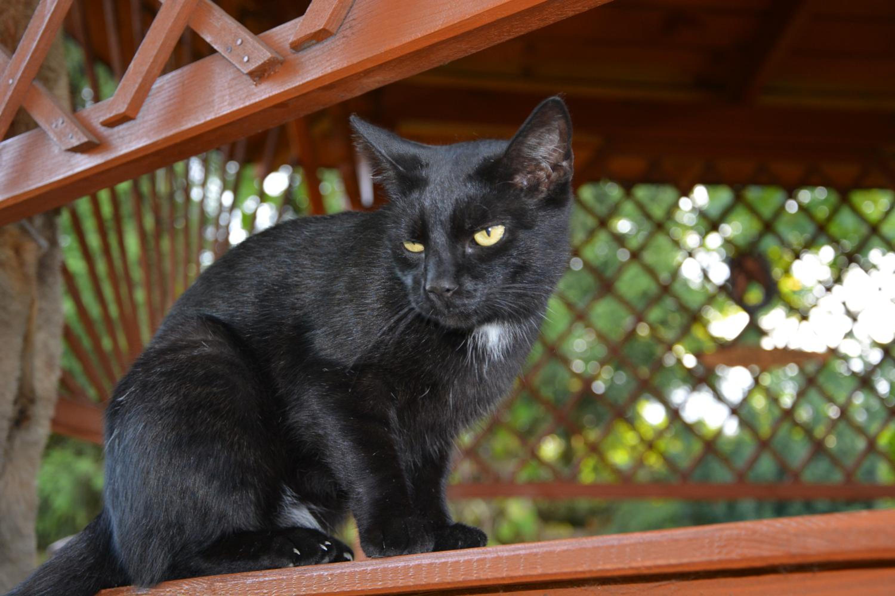 Pokoje Adriano