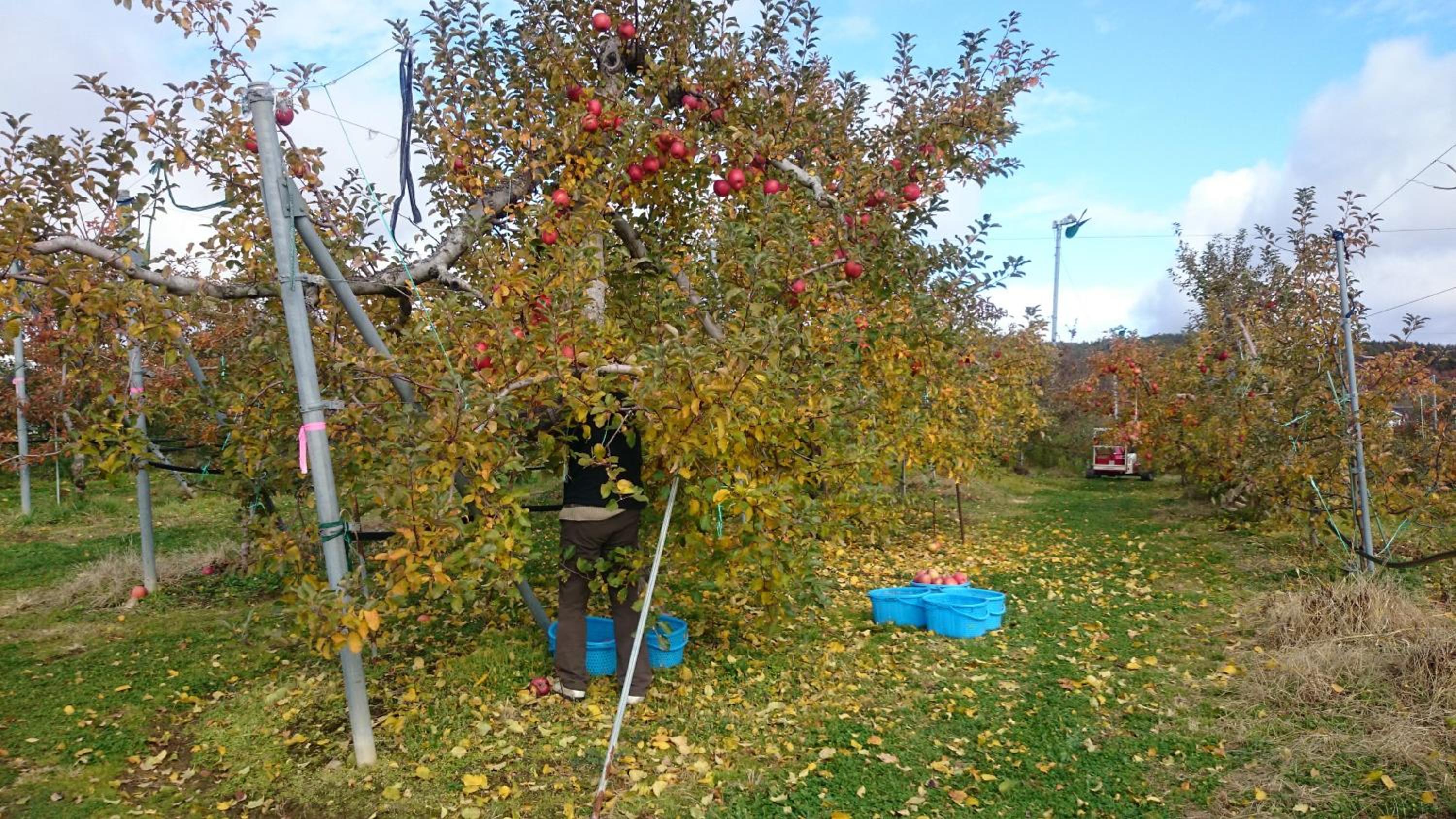Photo 32