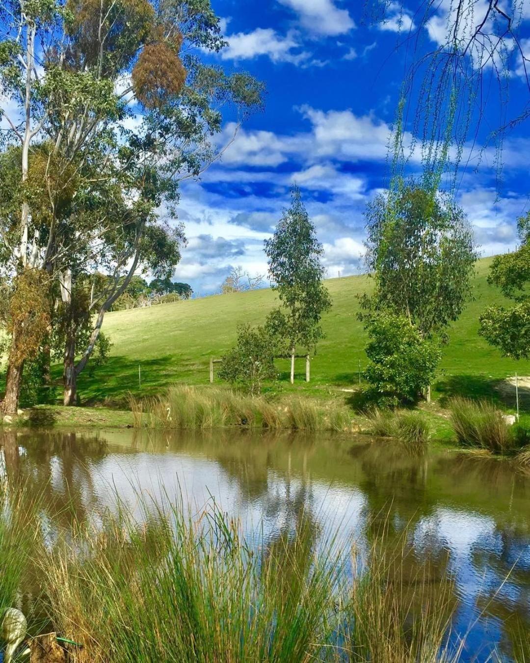 Chum Creek Hut