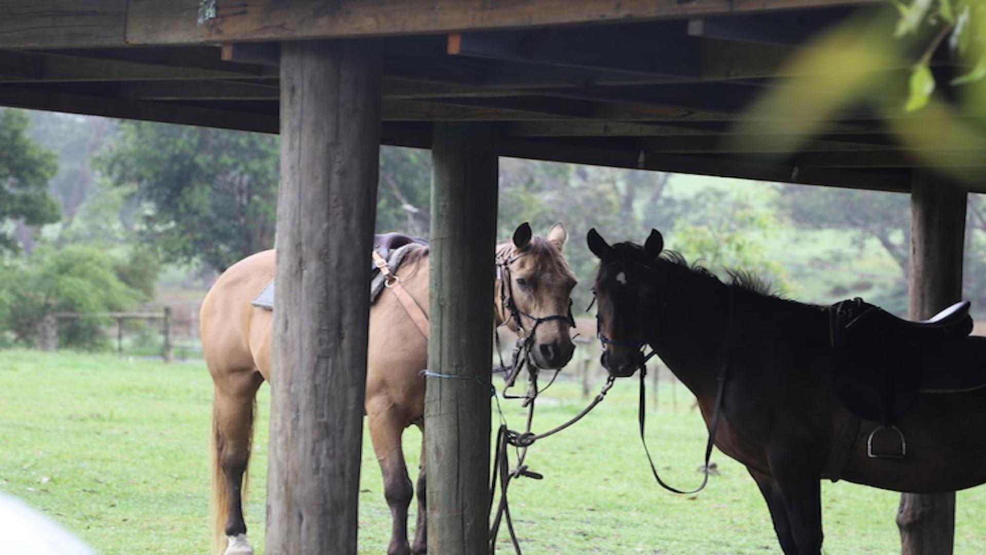 Chum Creek Hut