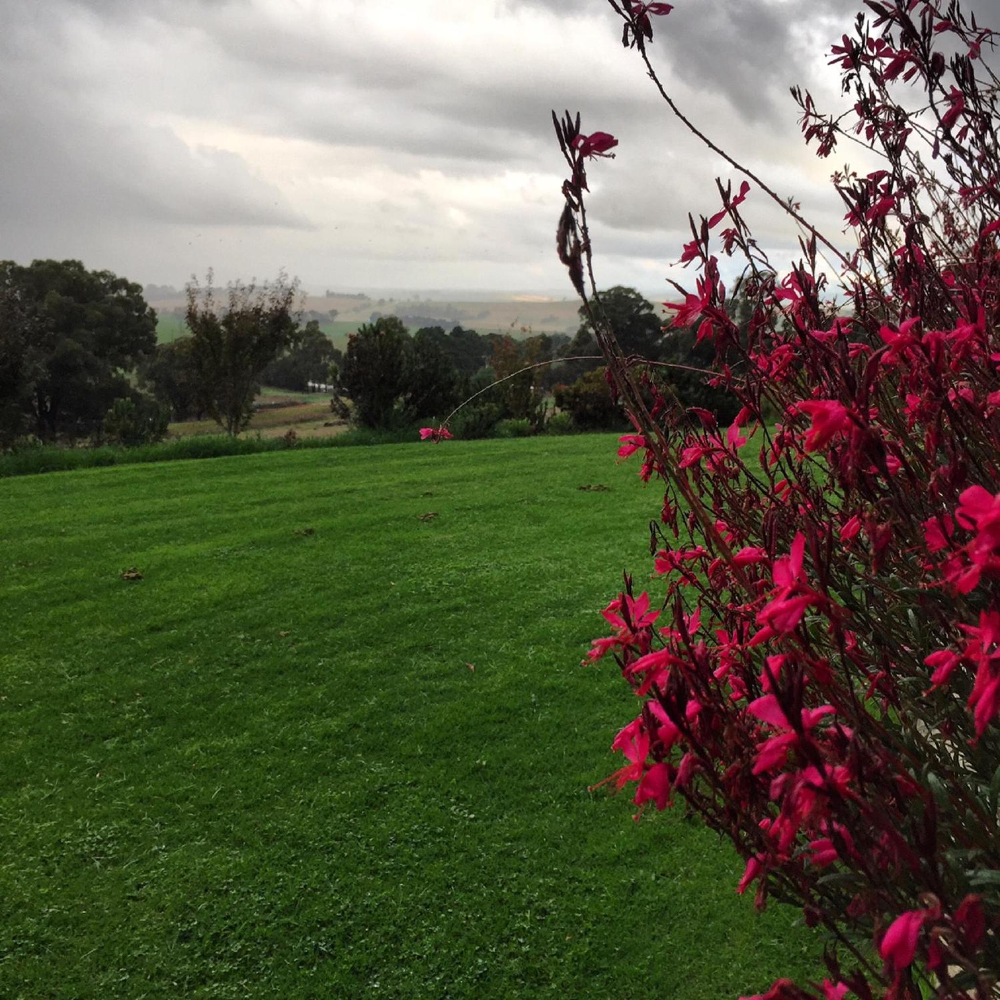 The Studio - Yarra Valley