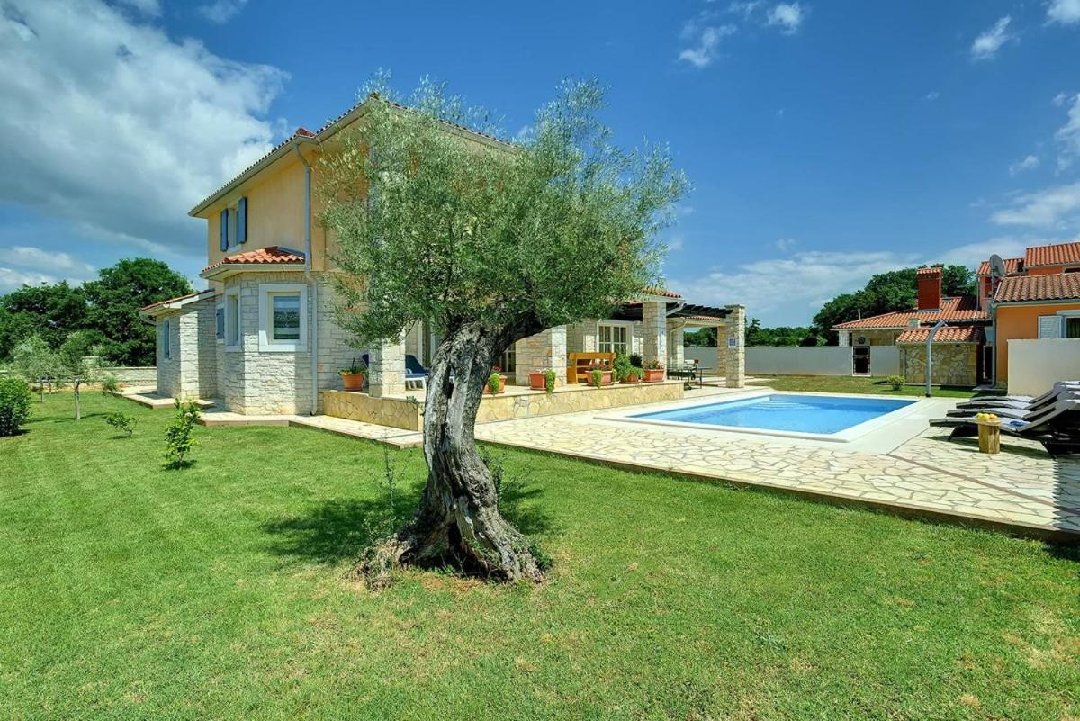 Villa Golubovo — photo 2