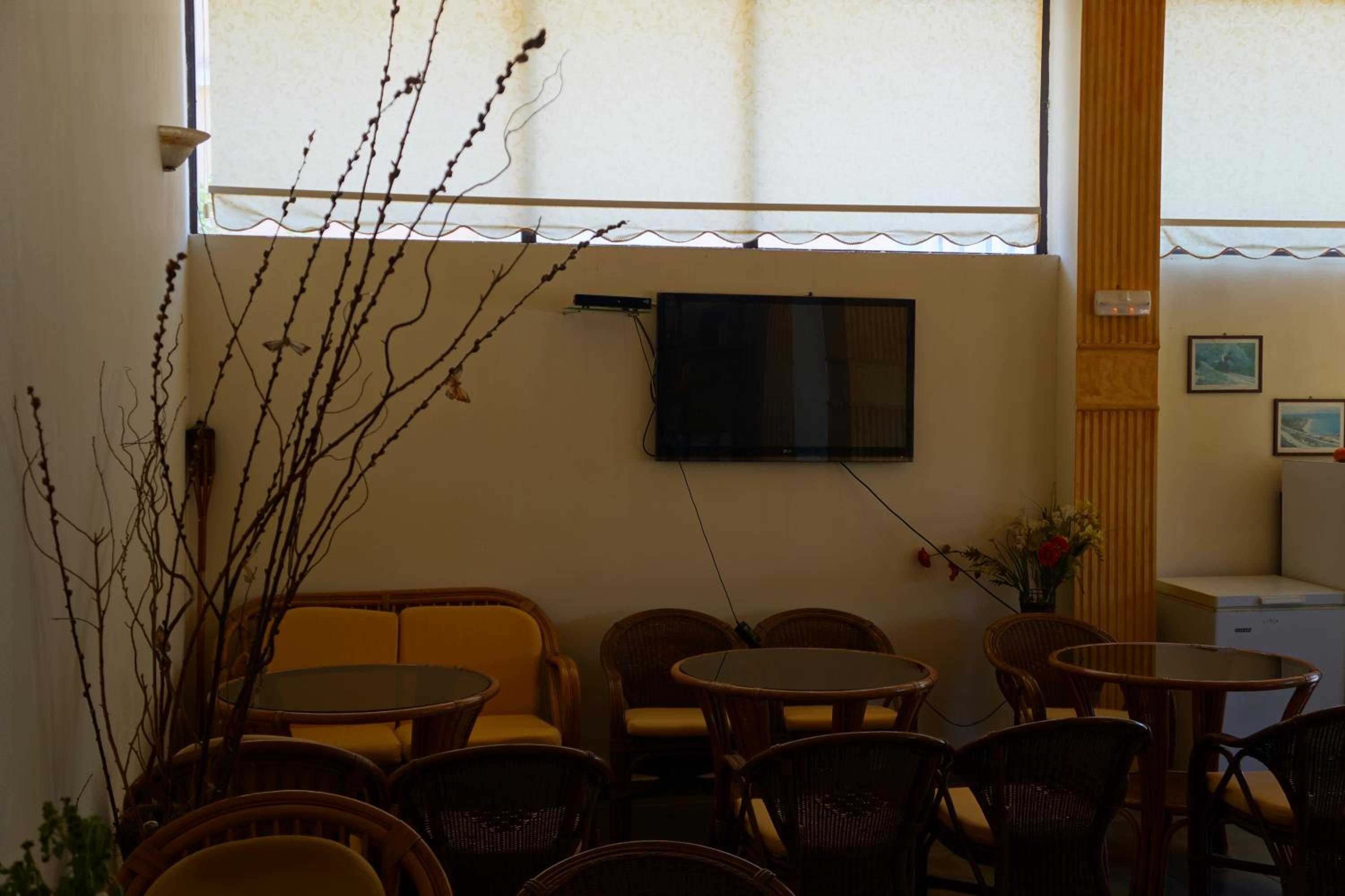 Lemonies, photo 5