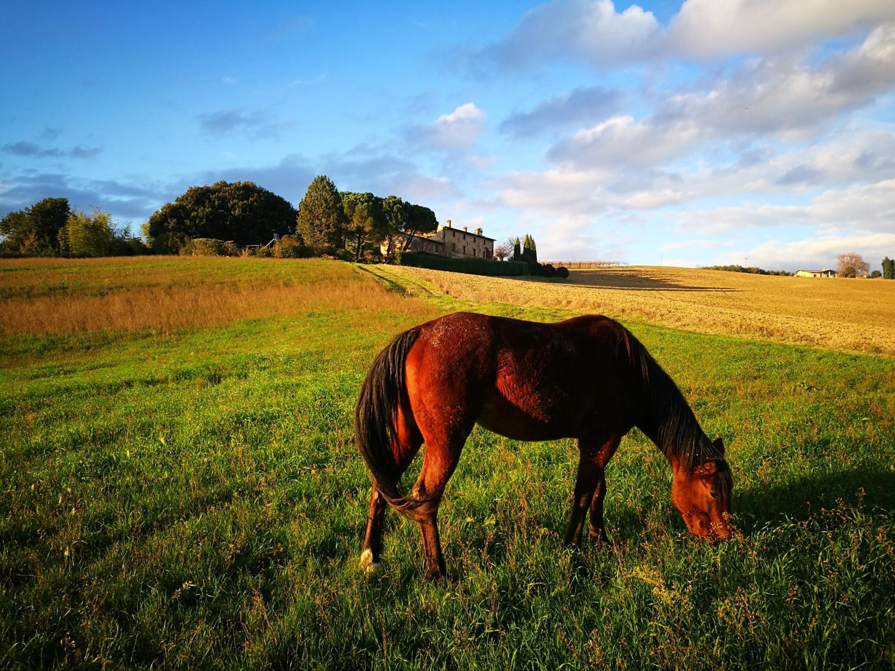 Agriturismo Casale Dei Frontini