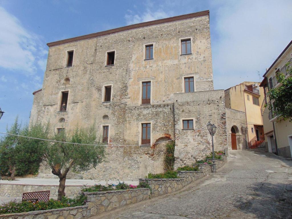 The Lemon Tree House photo 3