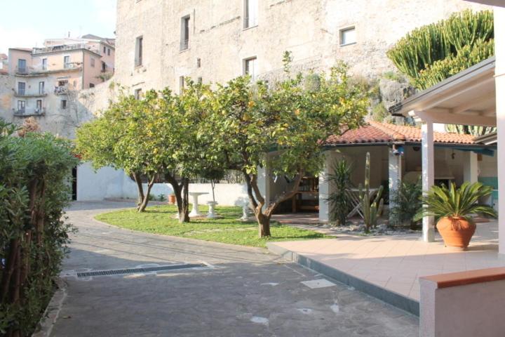 The Lemon Tree House view 5
