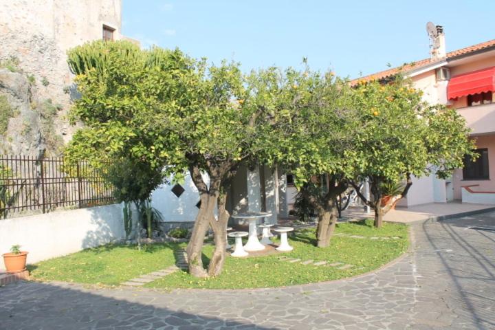 Photo 24