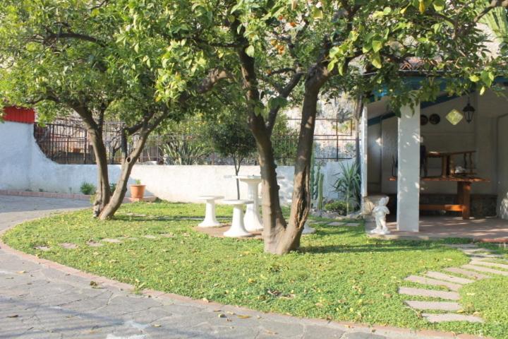 Photo 23