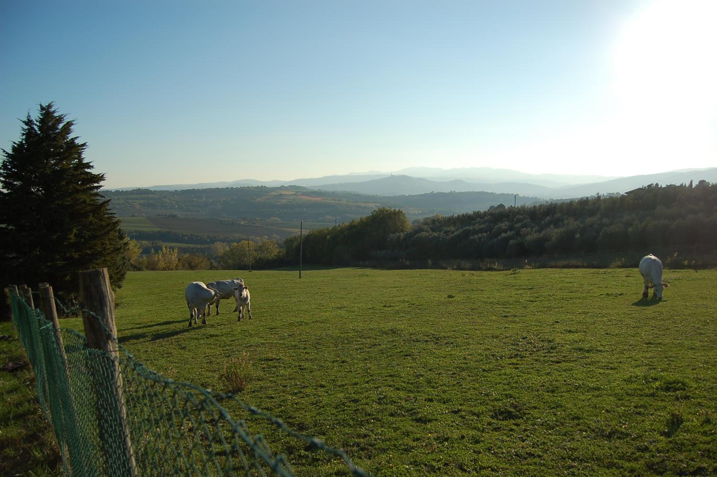 Agriturismo Casale Dei Frontini