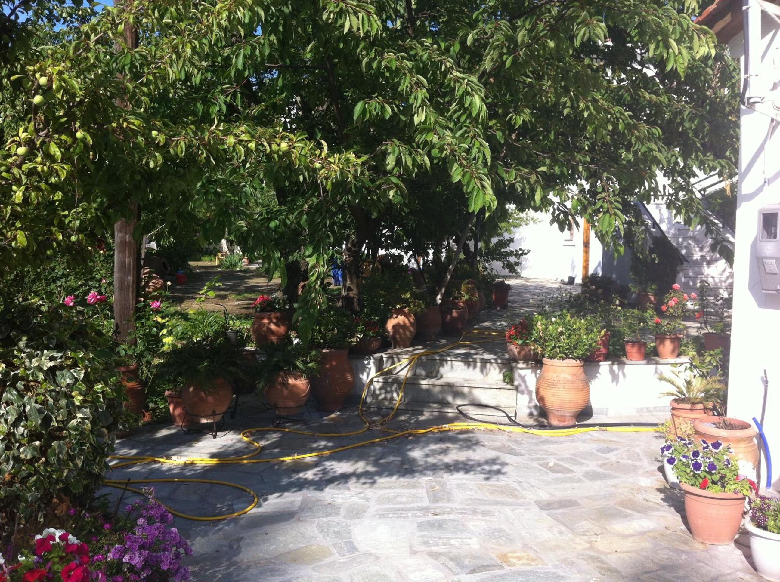 Photo 21