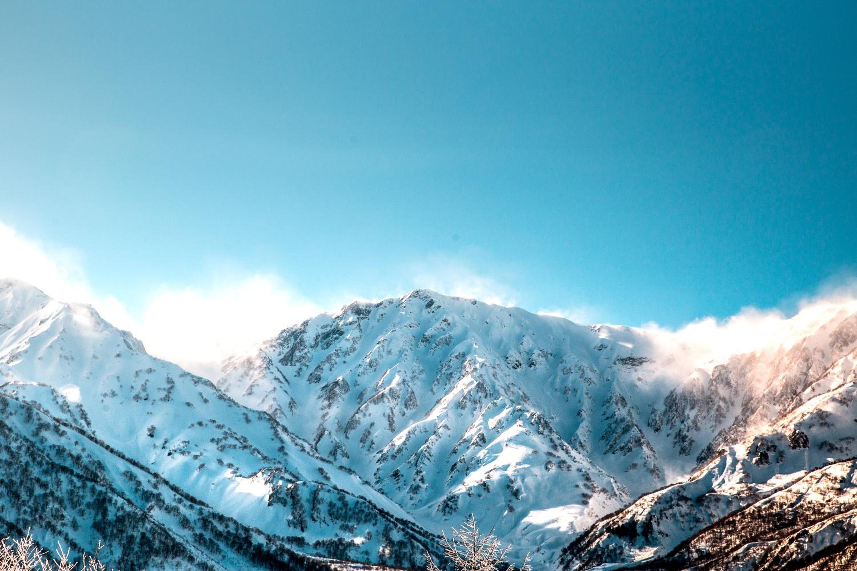 RedDoorLodge Hotel Hakuba