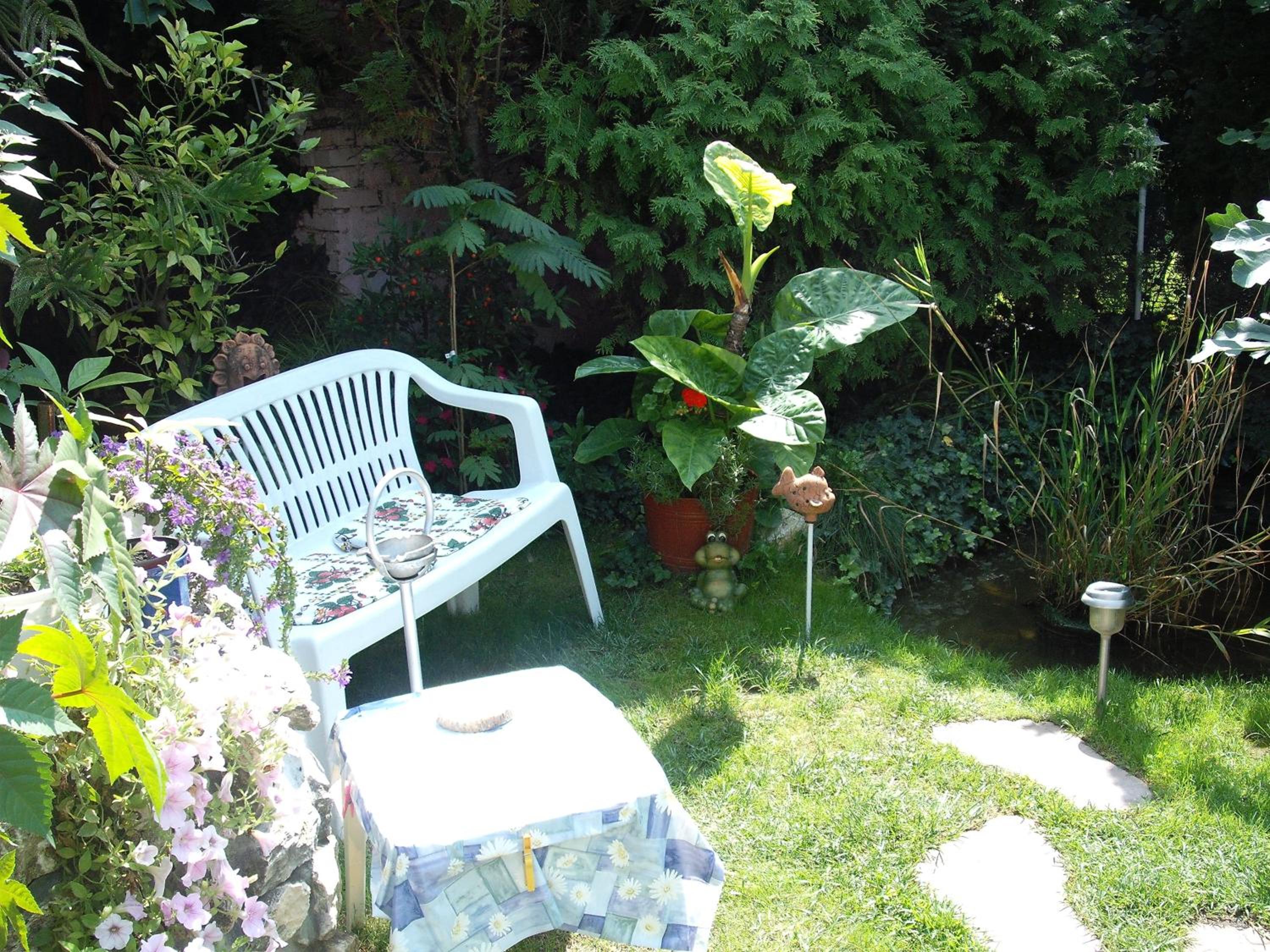 Photo 27