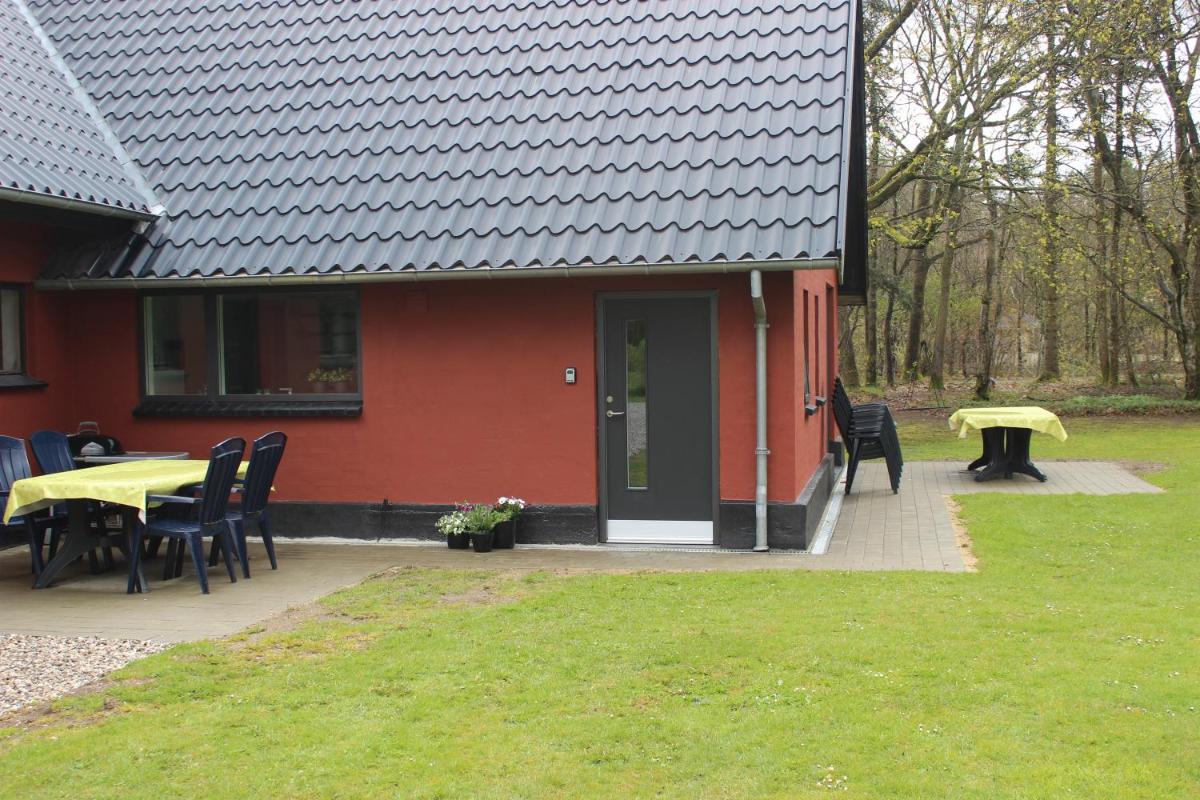 Photo 7