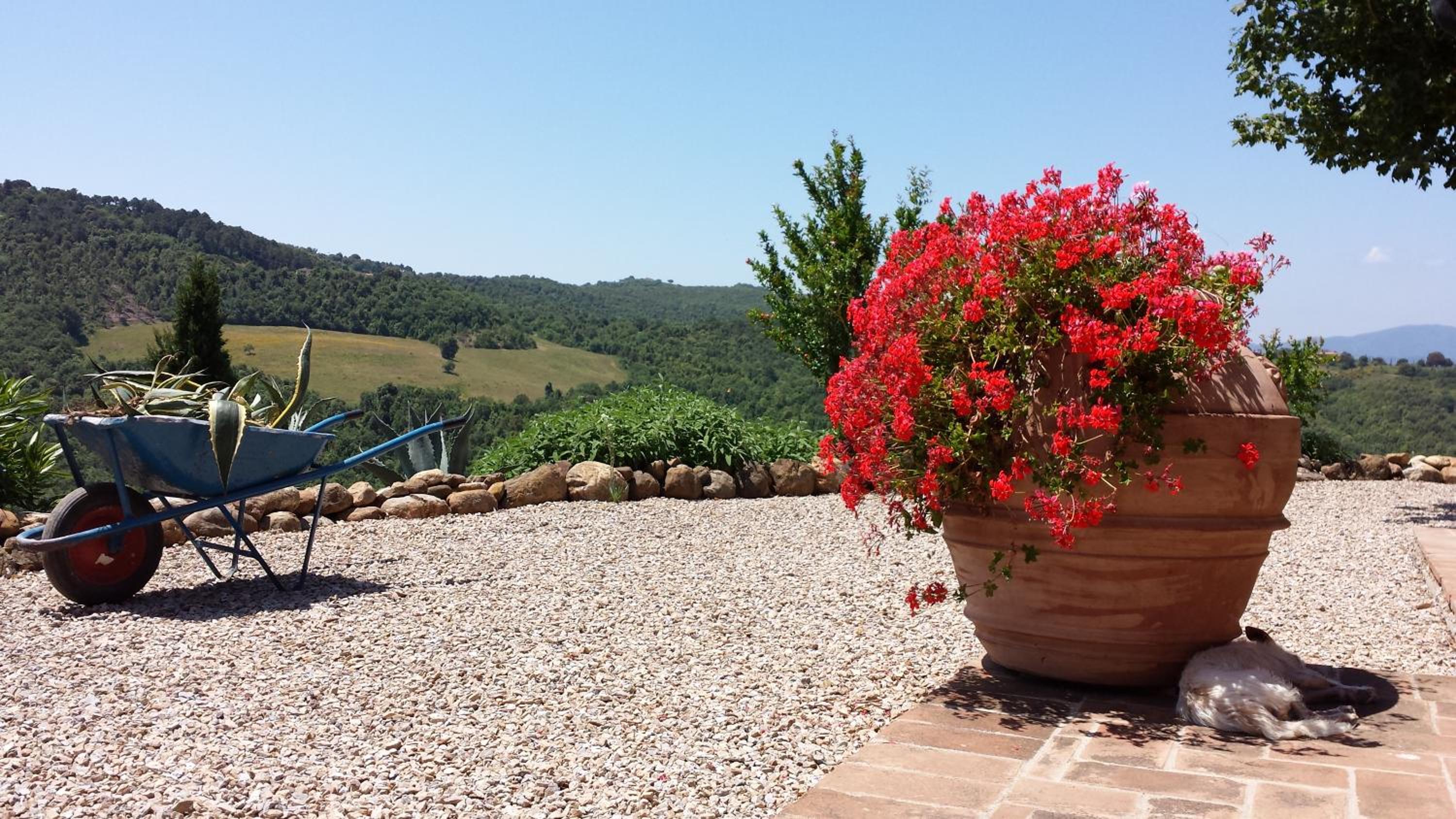Agriturismo Podere San Lorenzo 1866