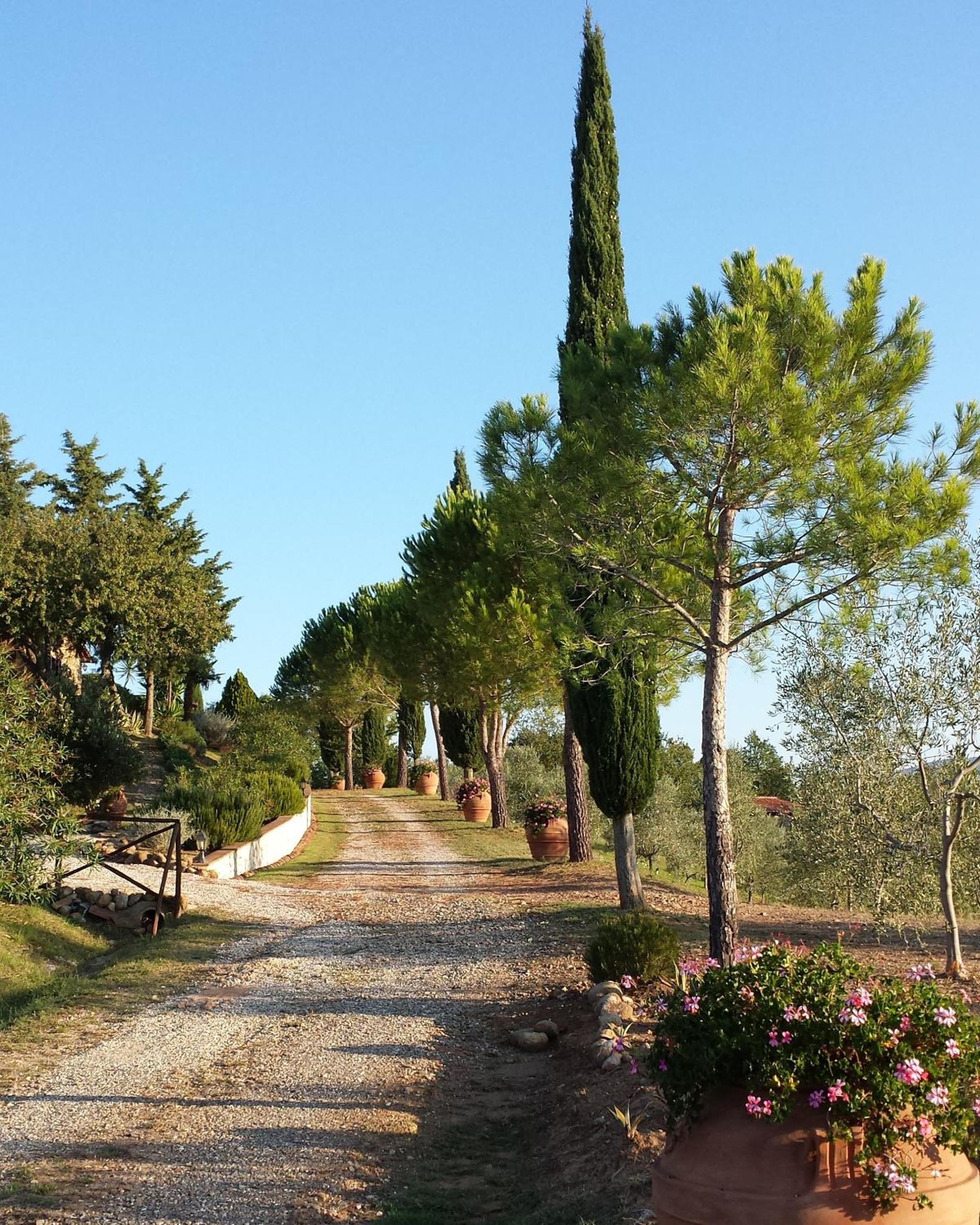 Agriturismo Podere San Lorenzo 1866