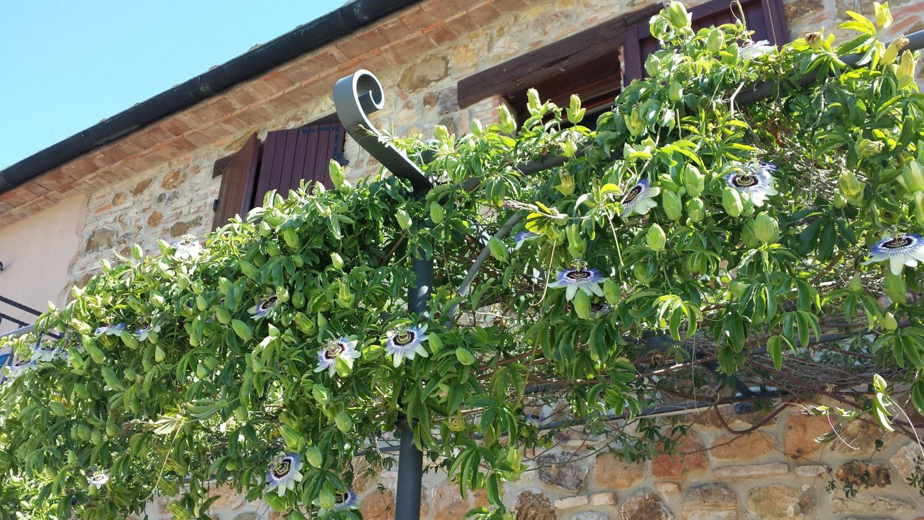 Agriturismo Podere San Lorenzo 1866