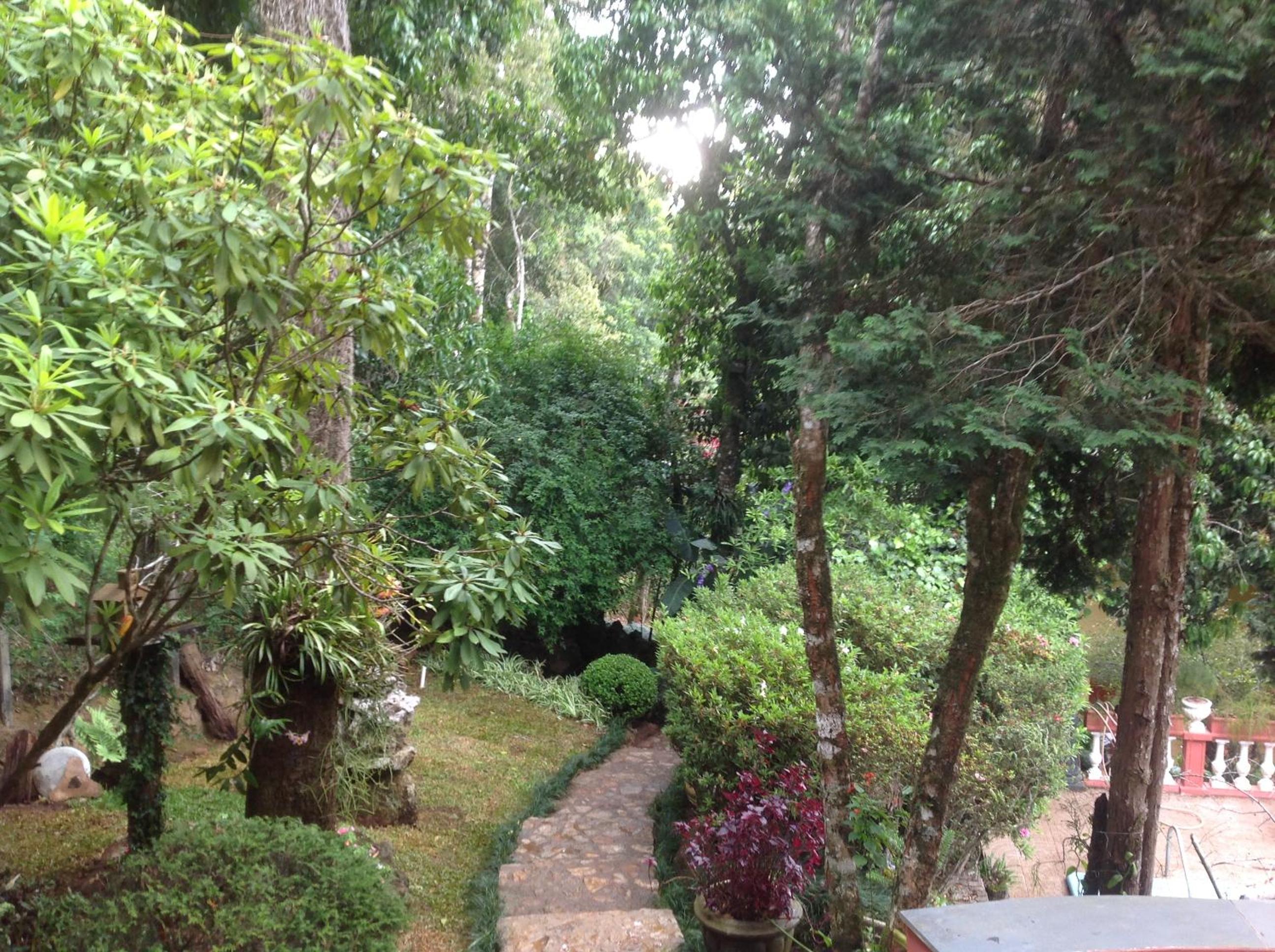Photo 61
