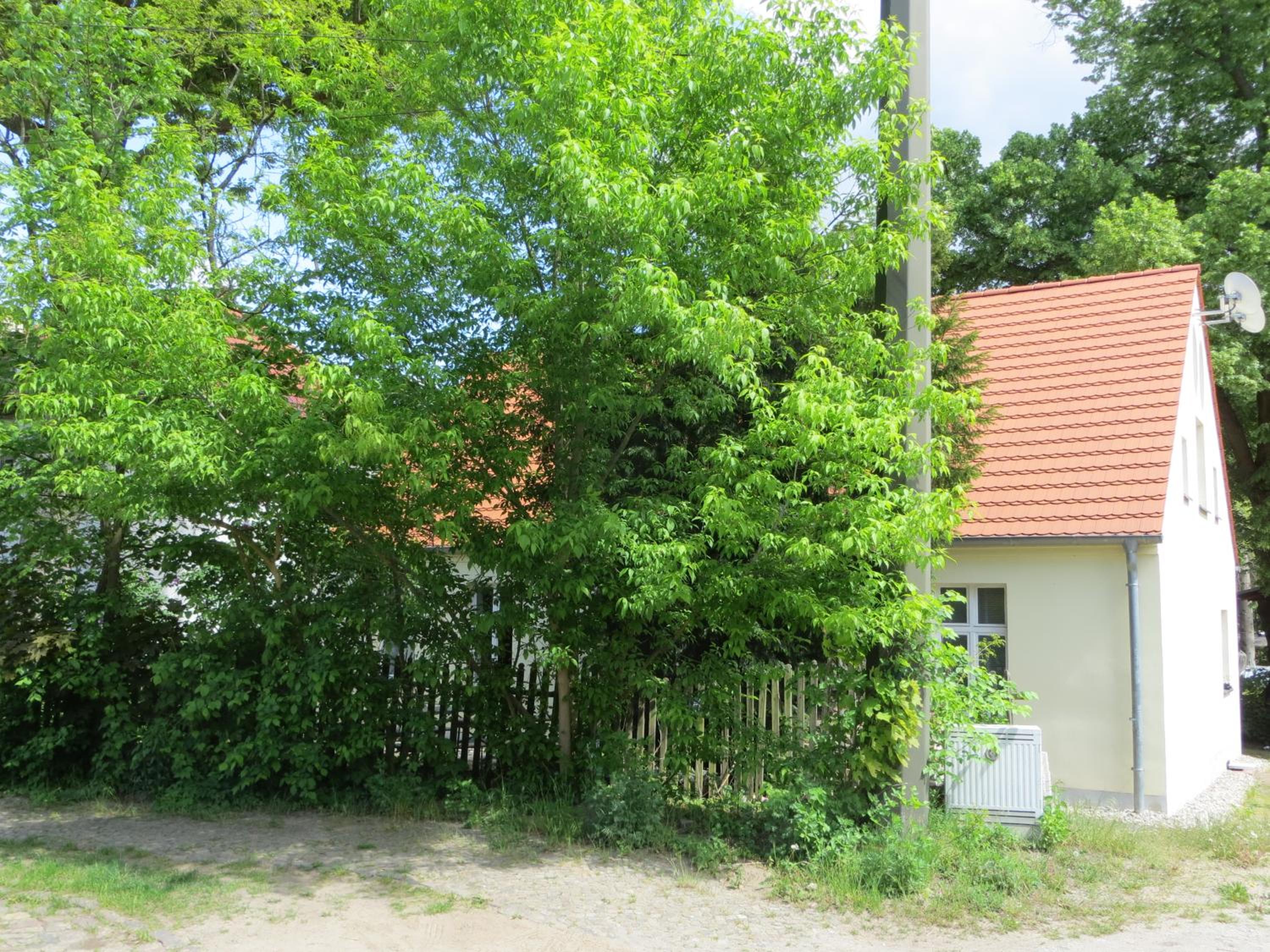 Fischerhaus am See