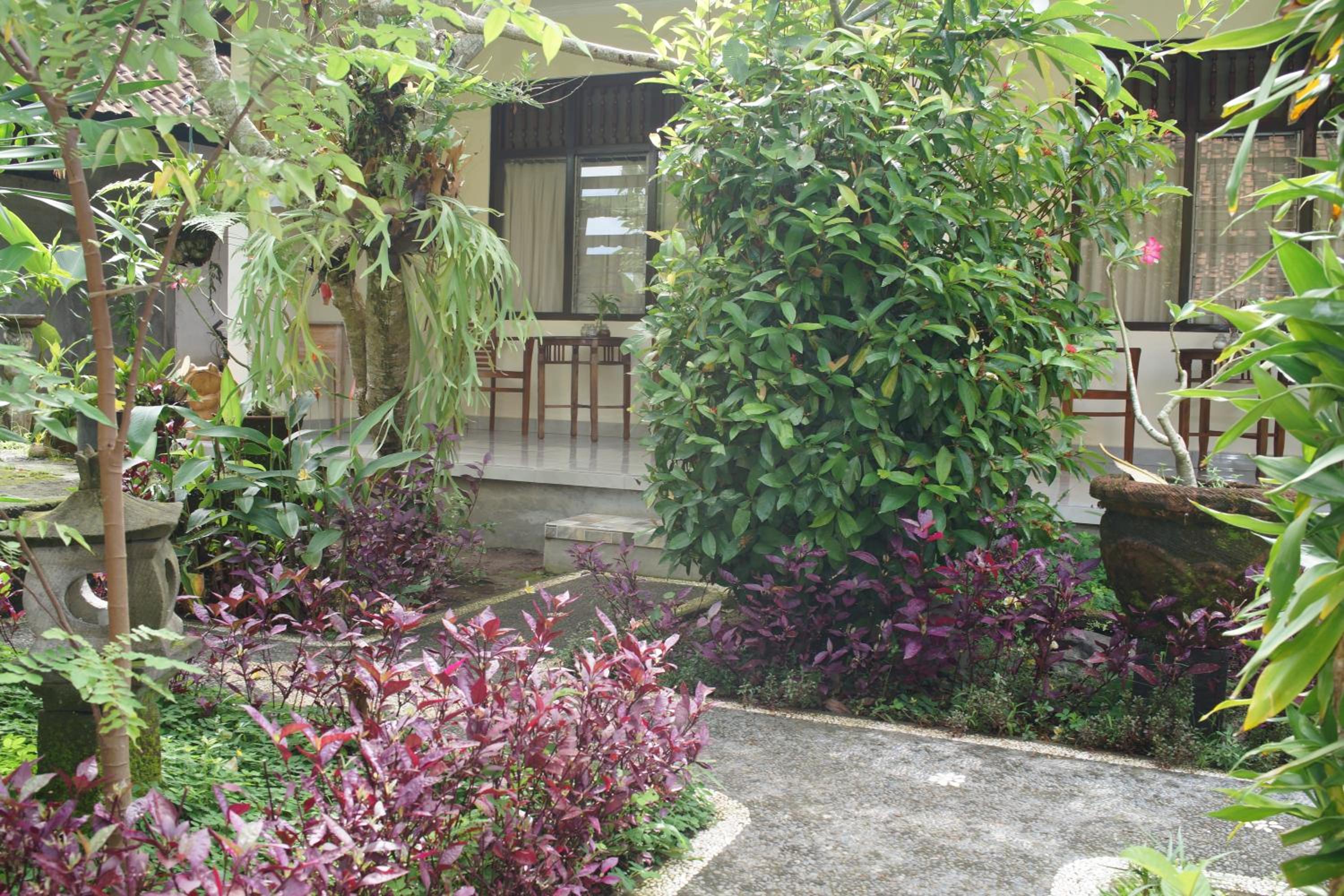 Photo 48
