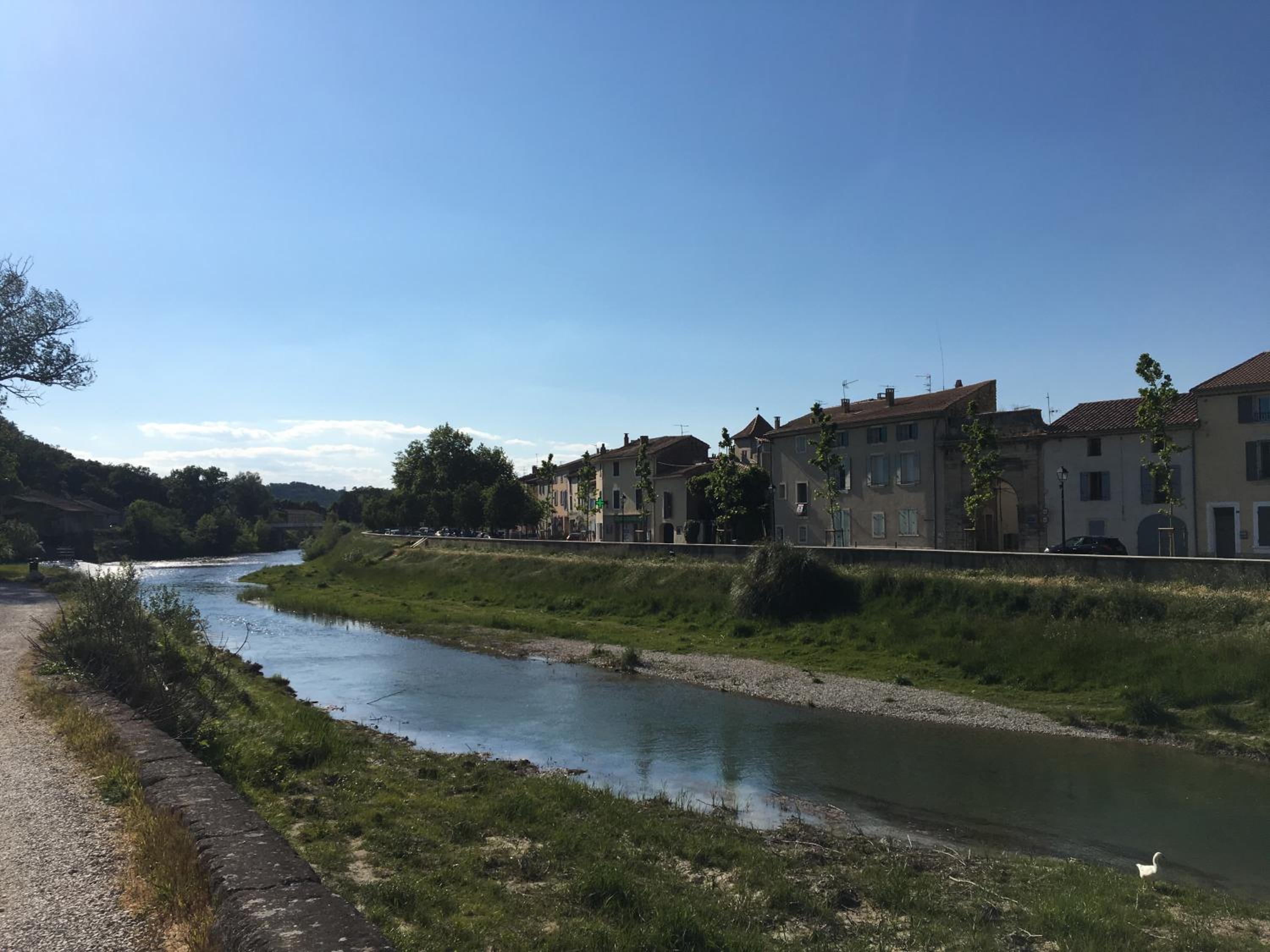 Photo 46