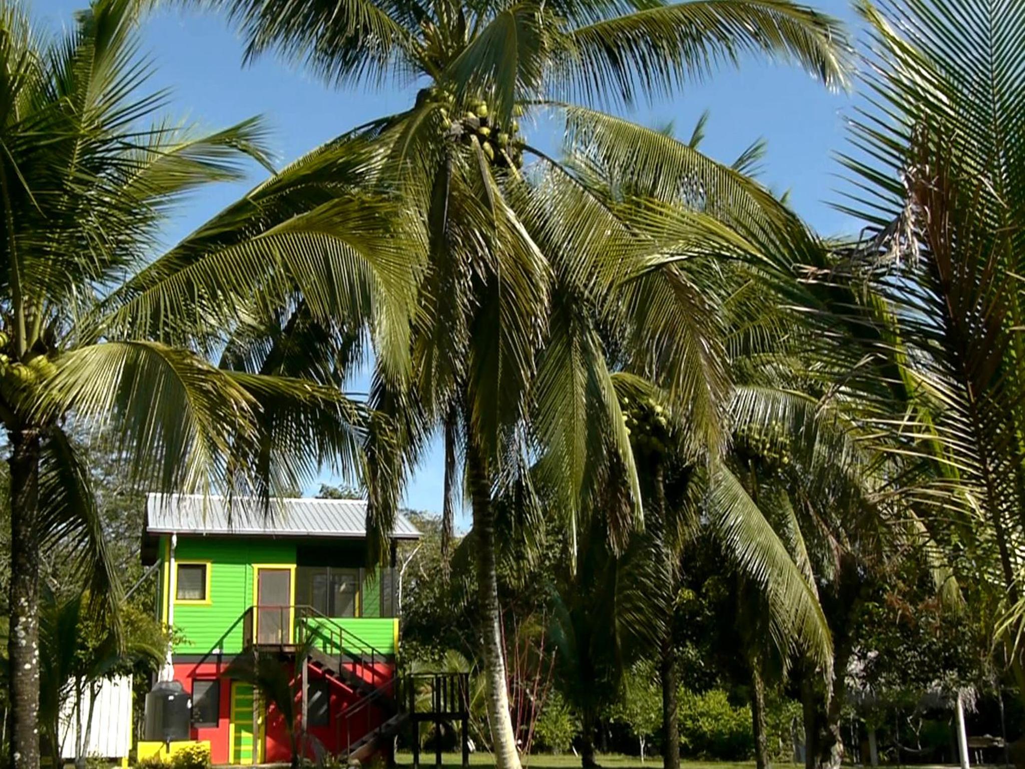 Lower Dover Jungle Lodge & Maya Ruins