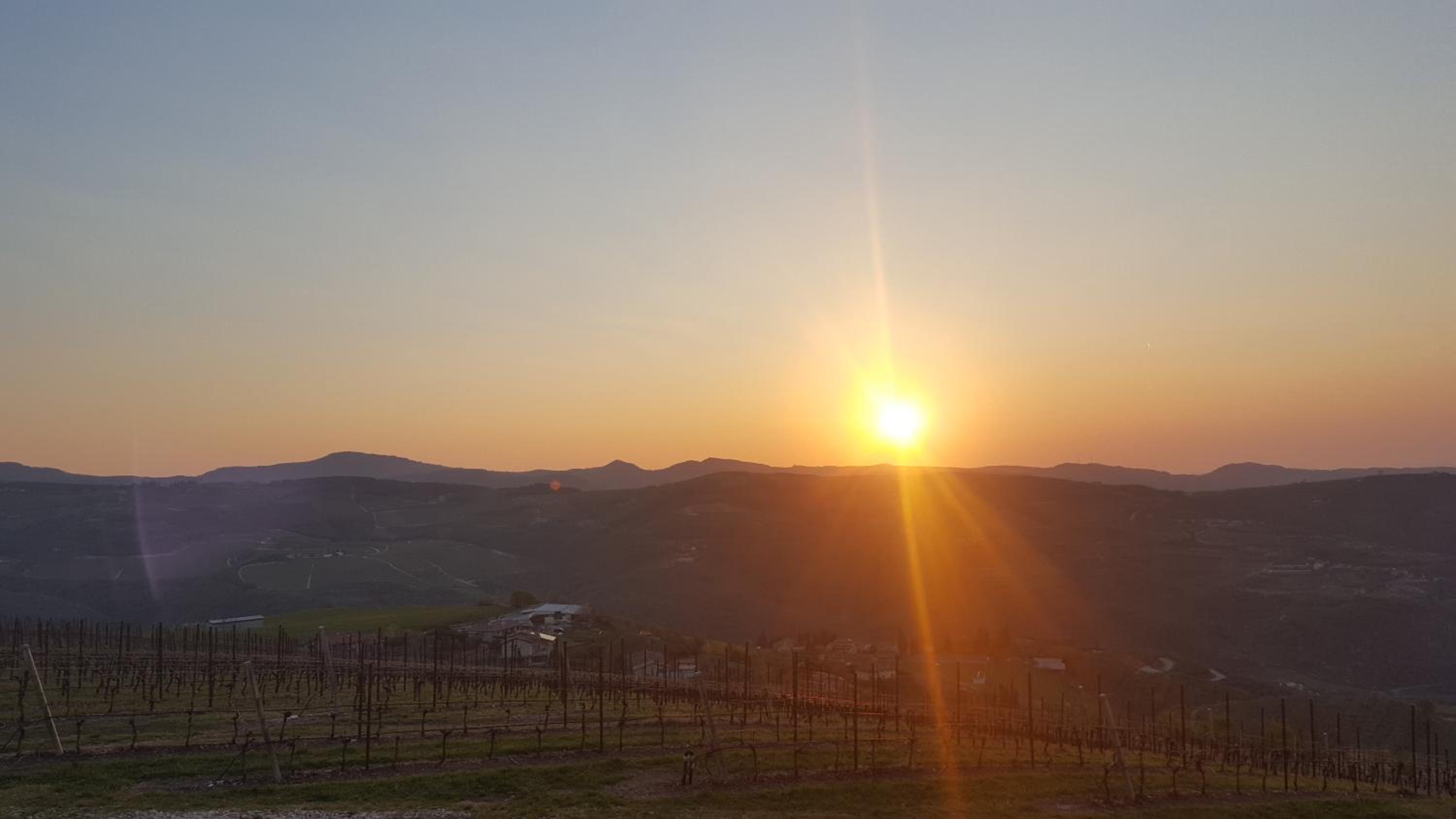 Podere Castagne
