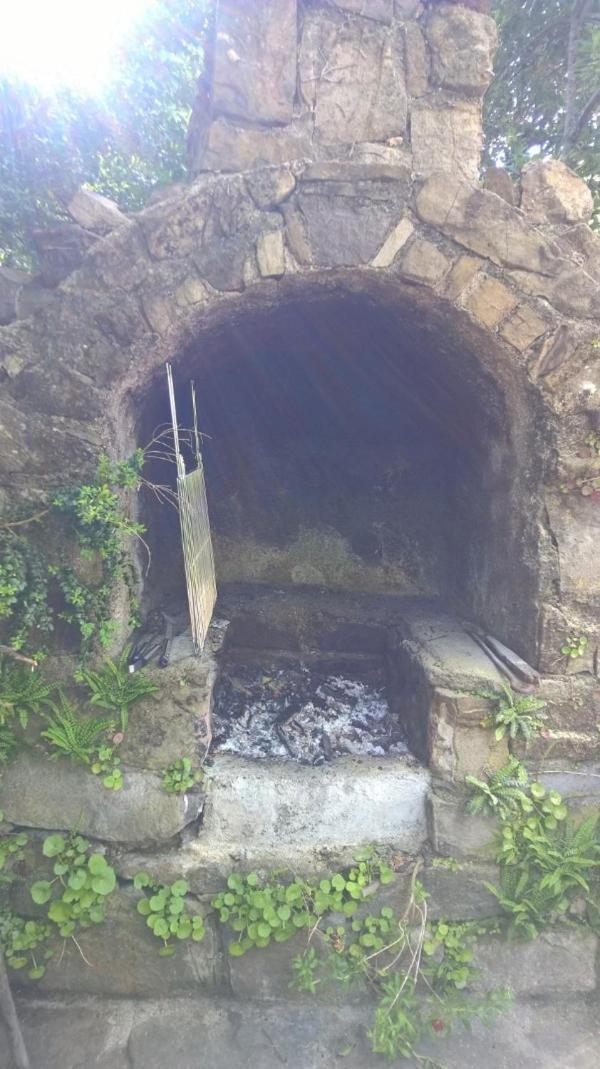 Photo 43
