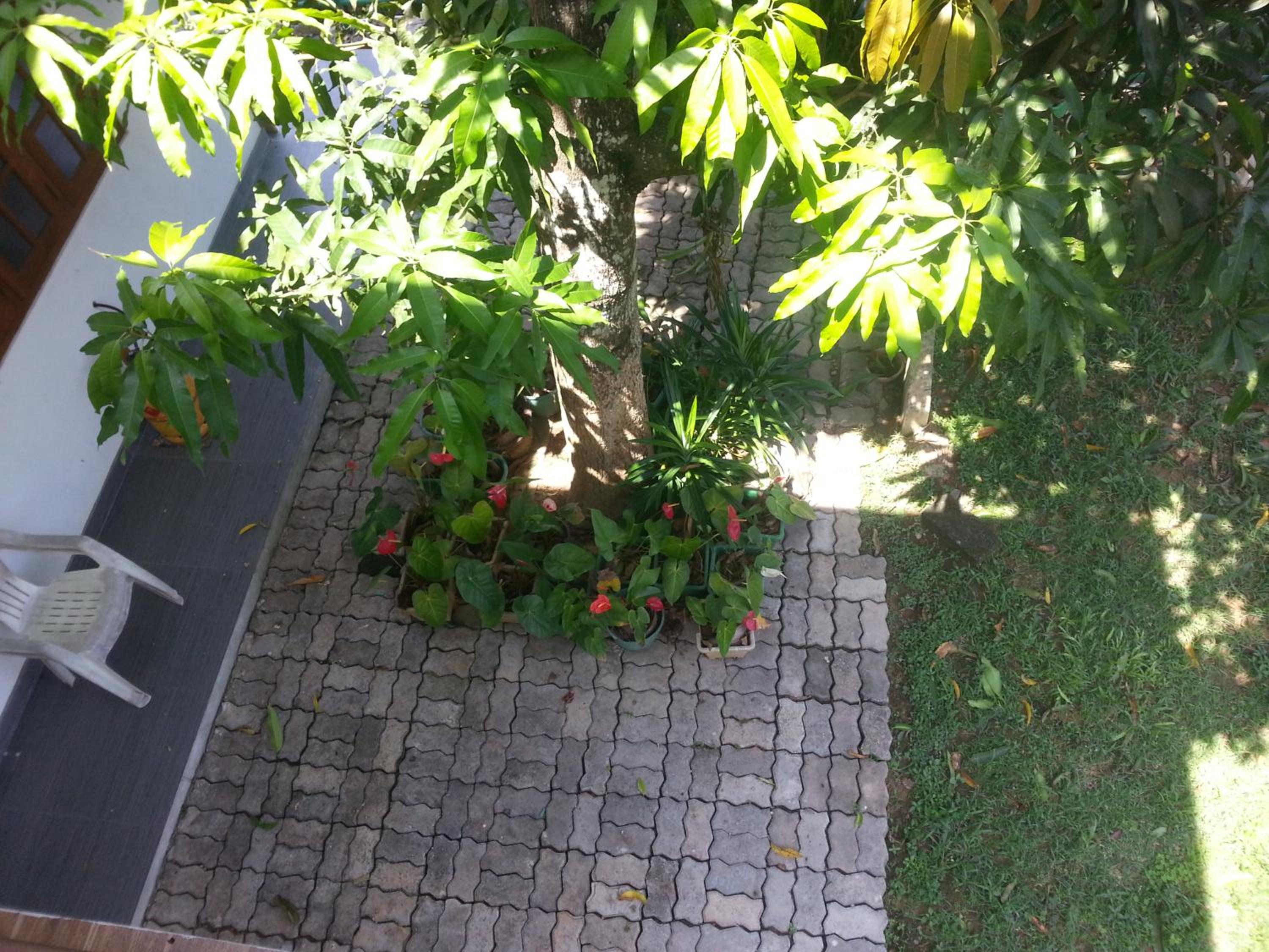 Photo 31