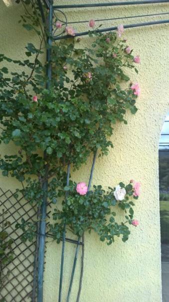 Photo 31