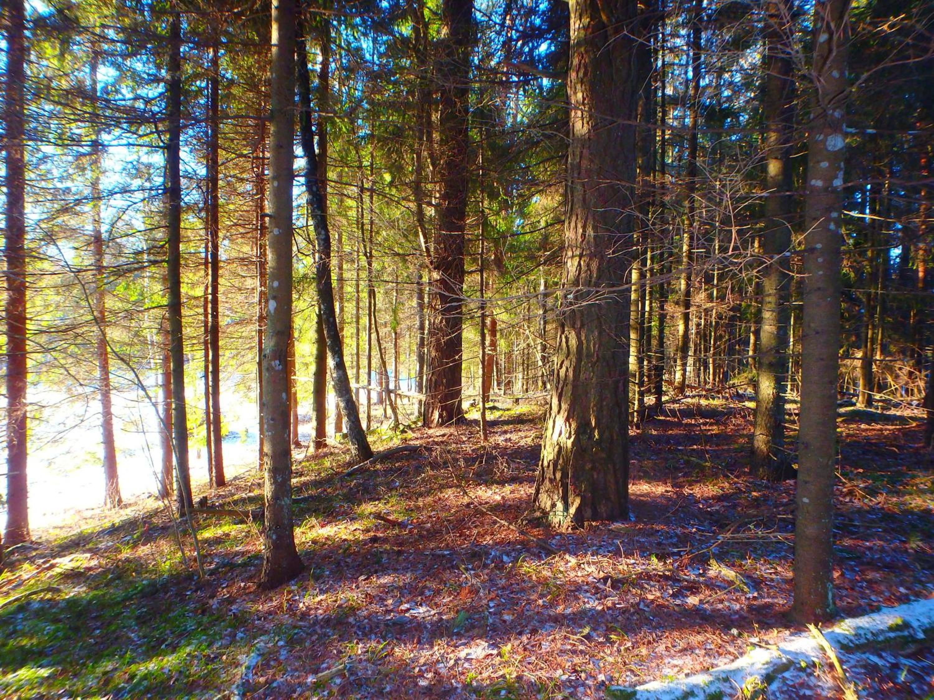 Photo 7