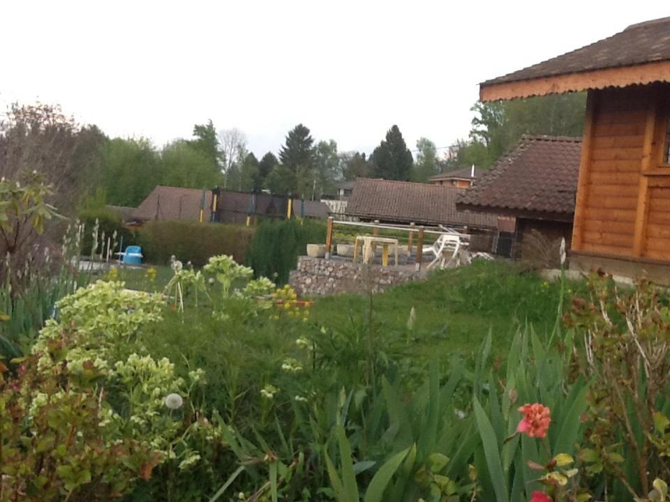 Le bois ramé, photo 3
